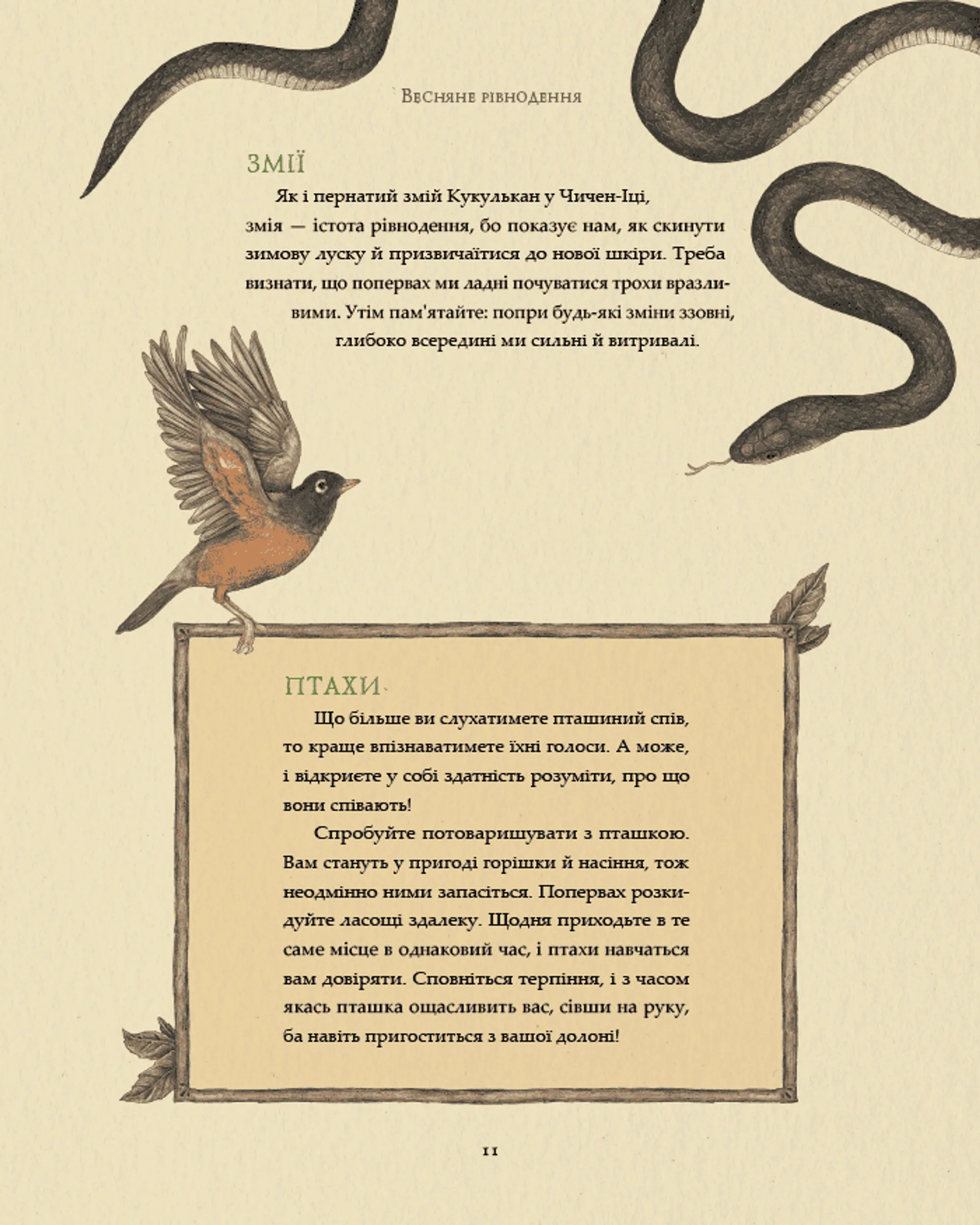 Колесо року: Ілюстрований путівник ритмами природи