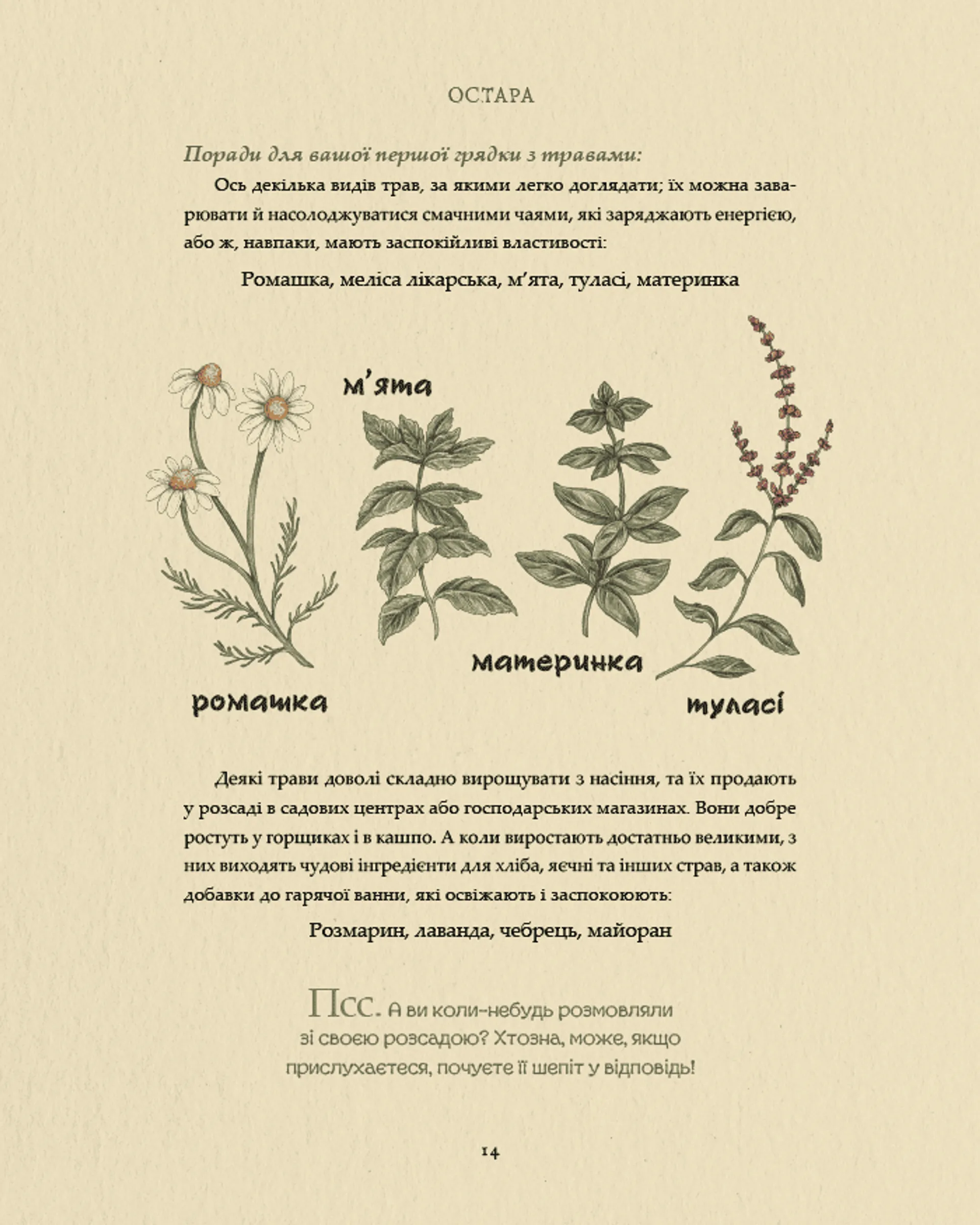 Колесо року: Ілюстрований путівник ритмами природи