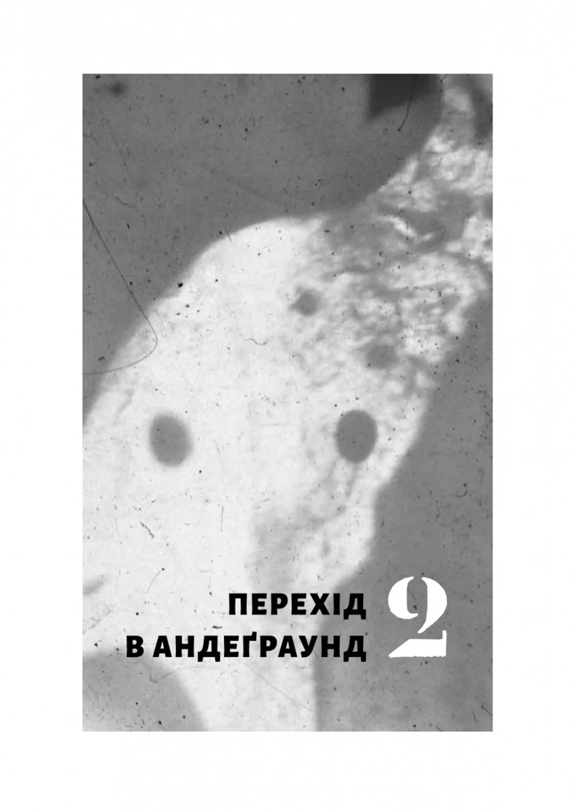 Навиворіт. Особиста історія Pink Floyd