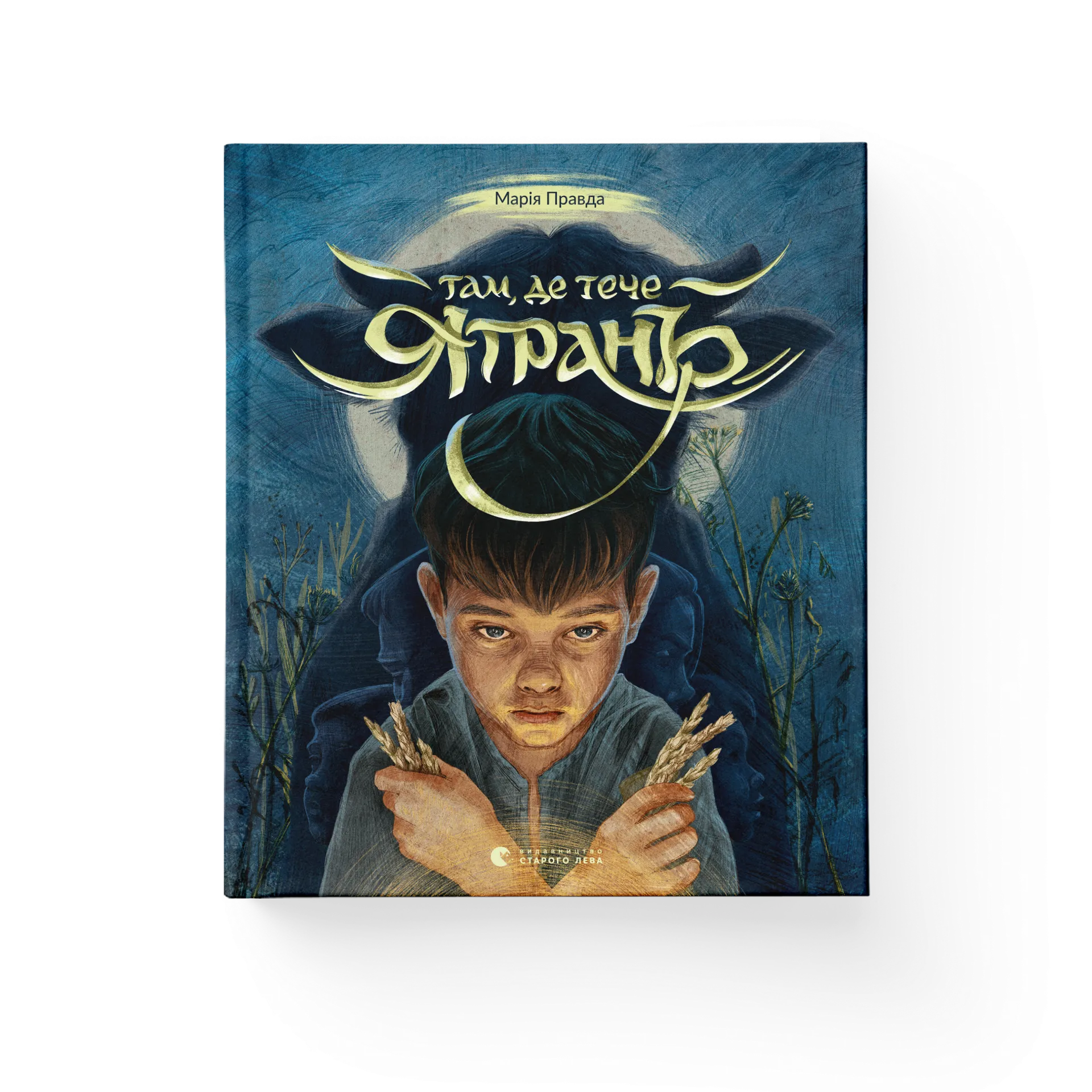 Дефект. Книга Там, де тече Ятрань