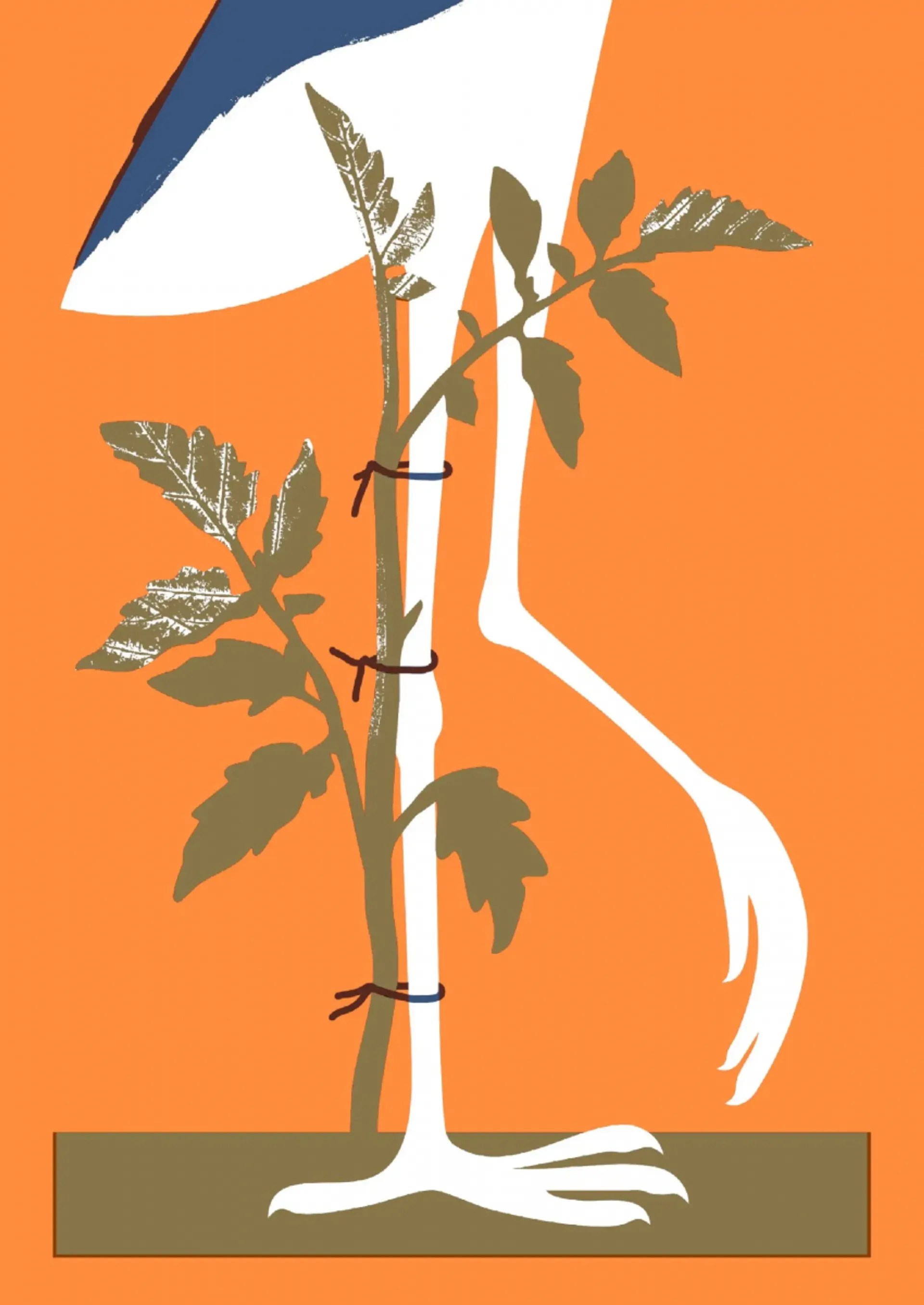 Українська сучасна проза: 25 найкращих оповідань