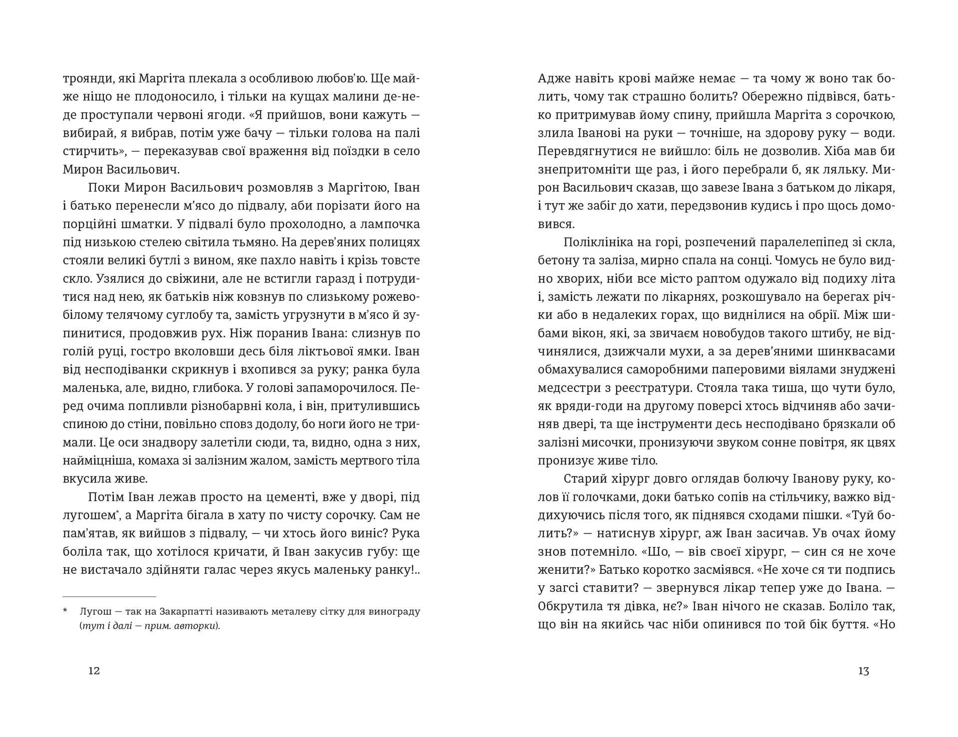 Іван і Феба (2025)