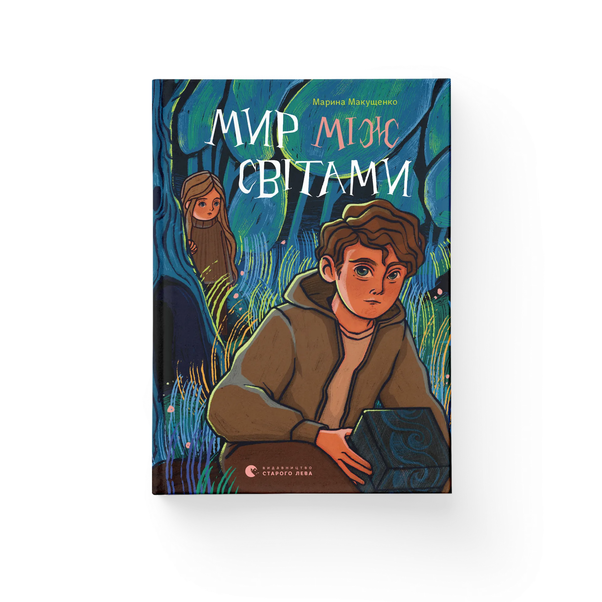 Дефект Книга Мир між світами