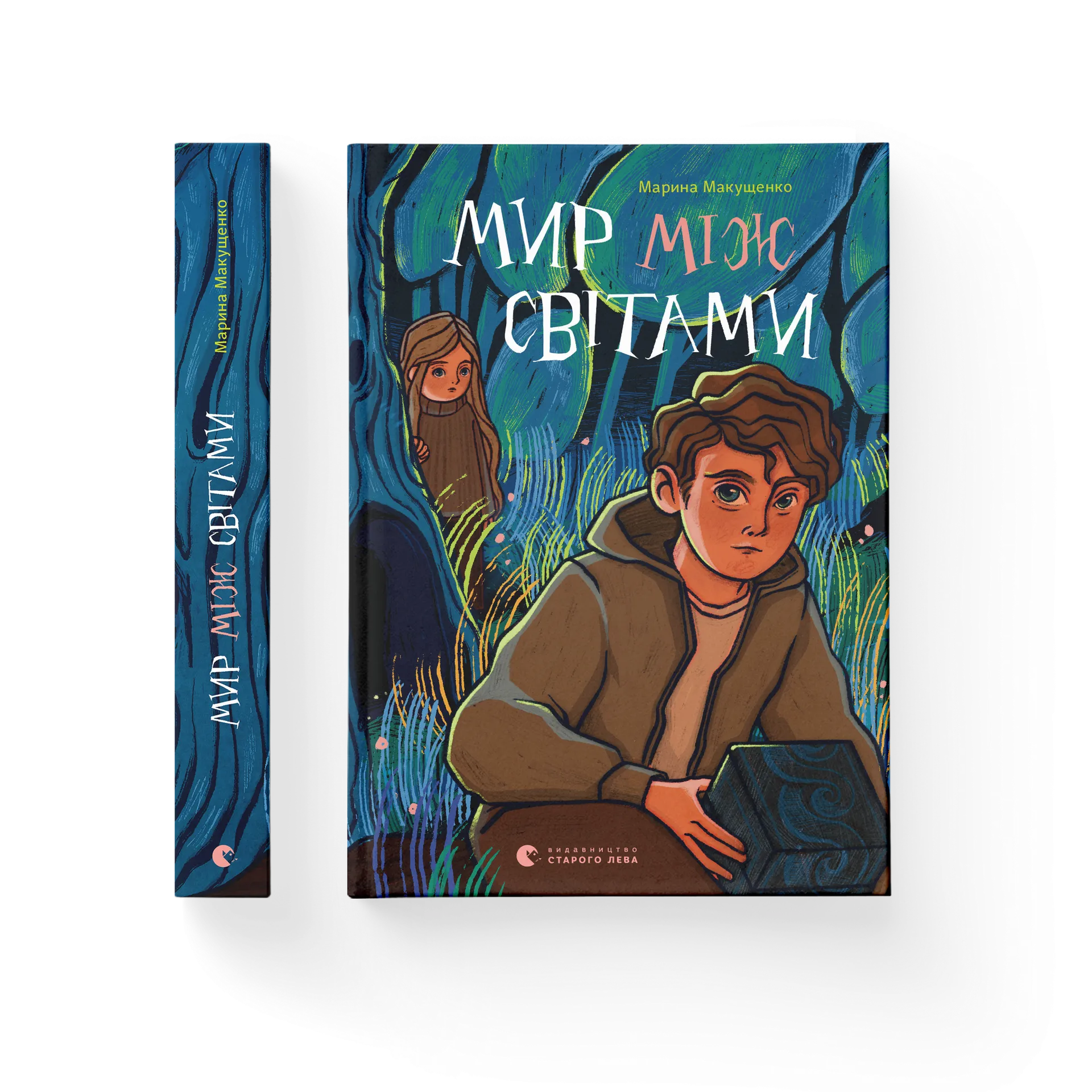 Дефект Книга Мир між світами