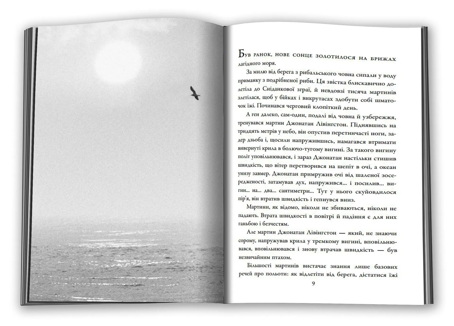 Джонатан Лівінгстон, мартин