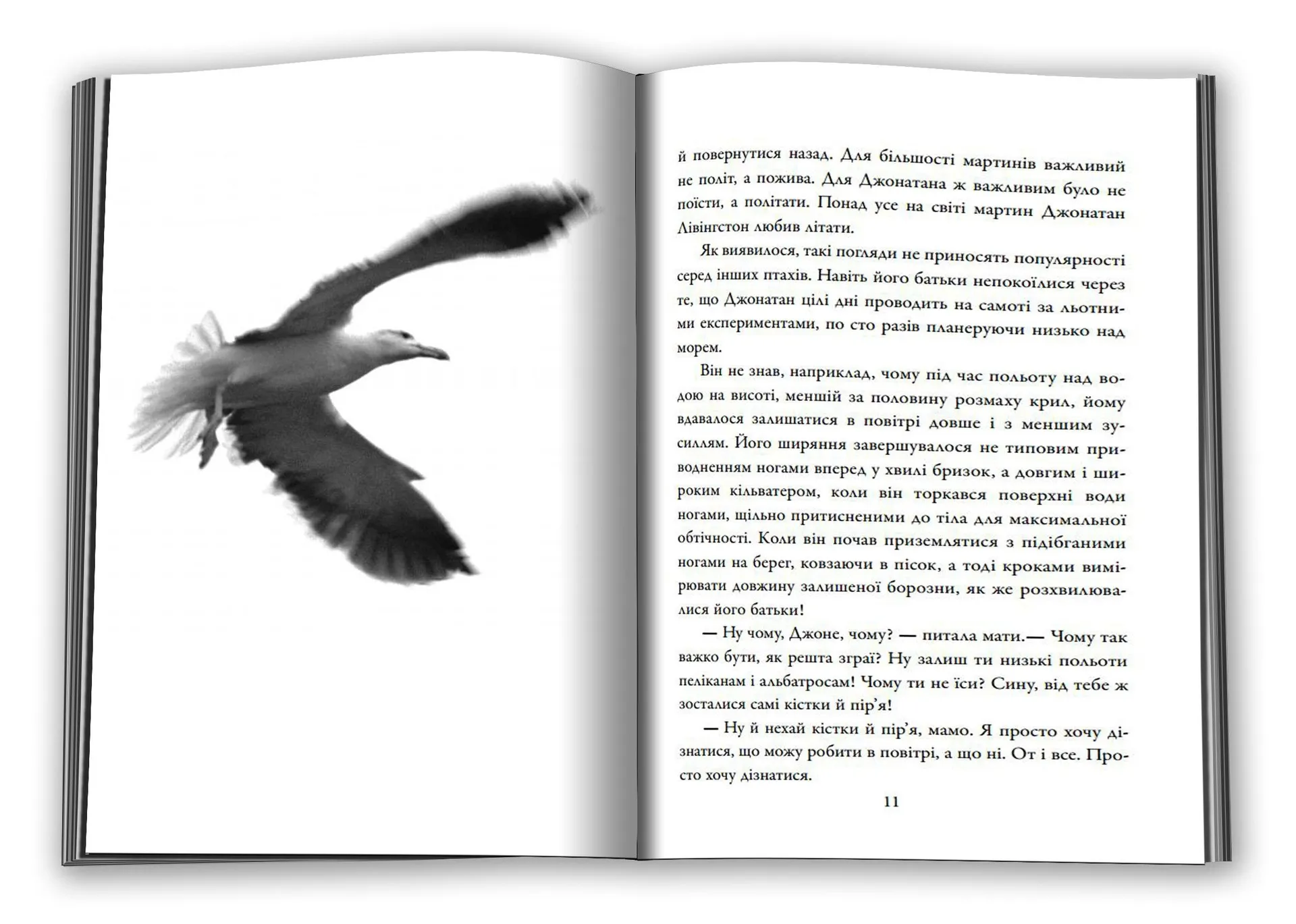 Джонатан Лівінгстон, мартин