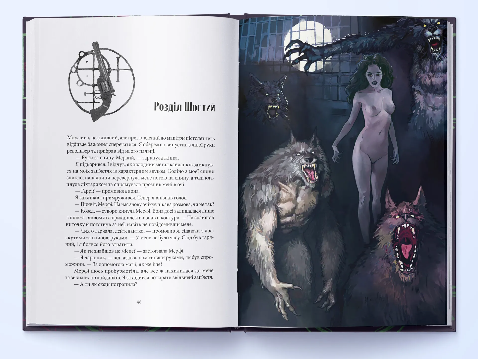 Повня дурня. Справи Дрездена. Книга 2