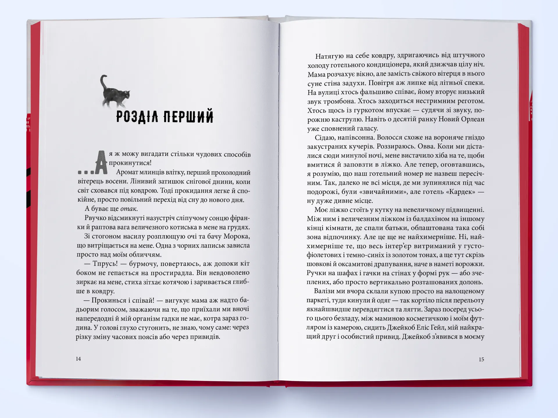 Міст душ. Книга 3