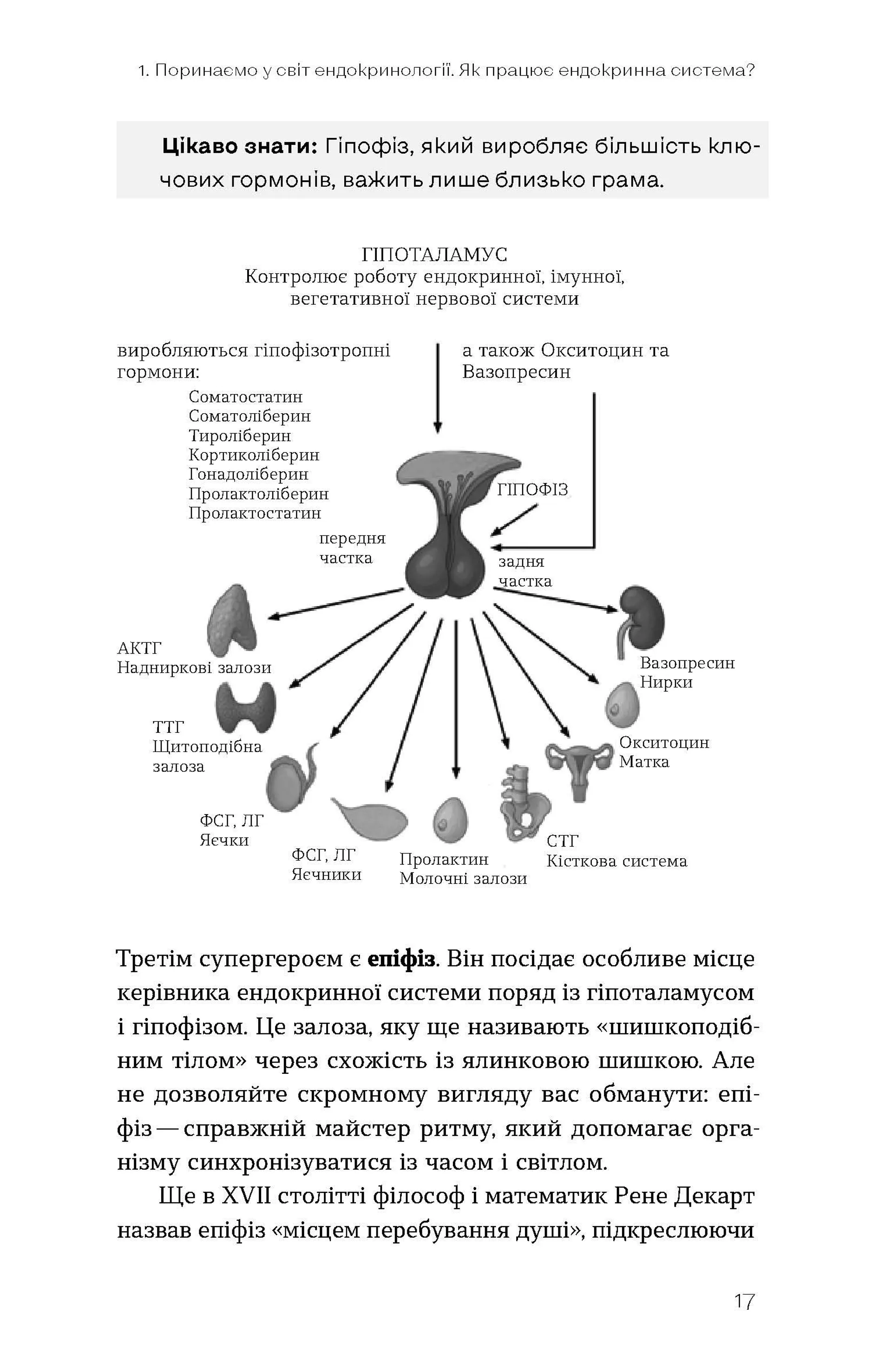 Магія гормонів. Невидимий диригент вашого життя