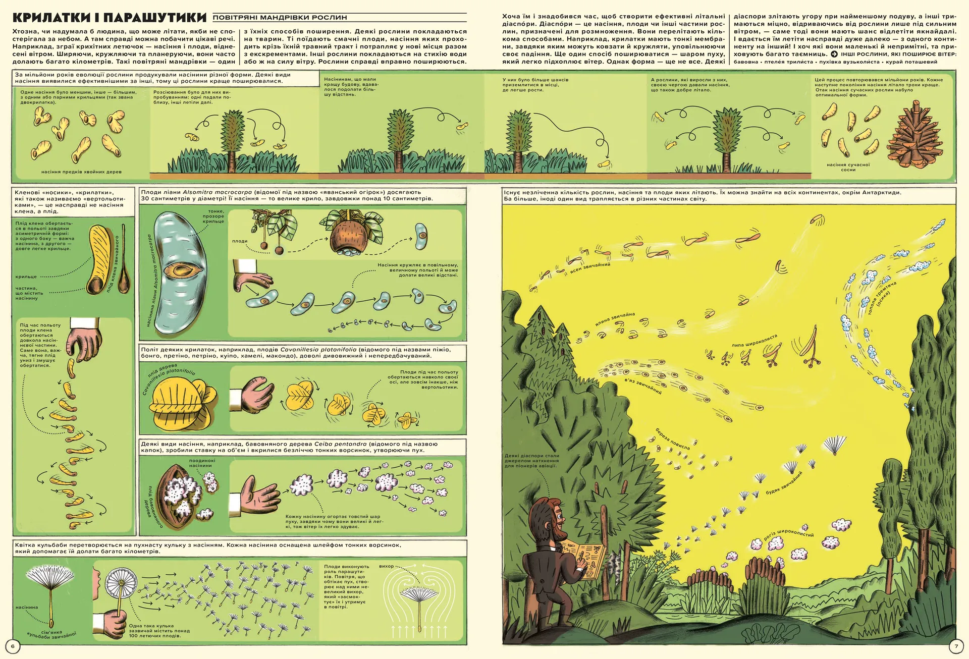 Але високо! Мальована історія авіації