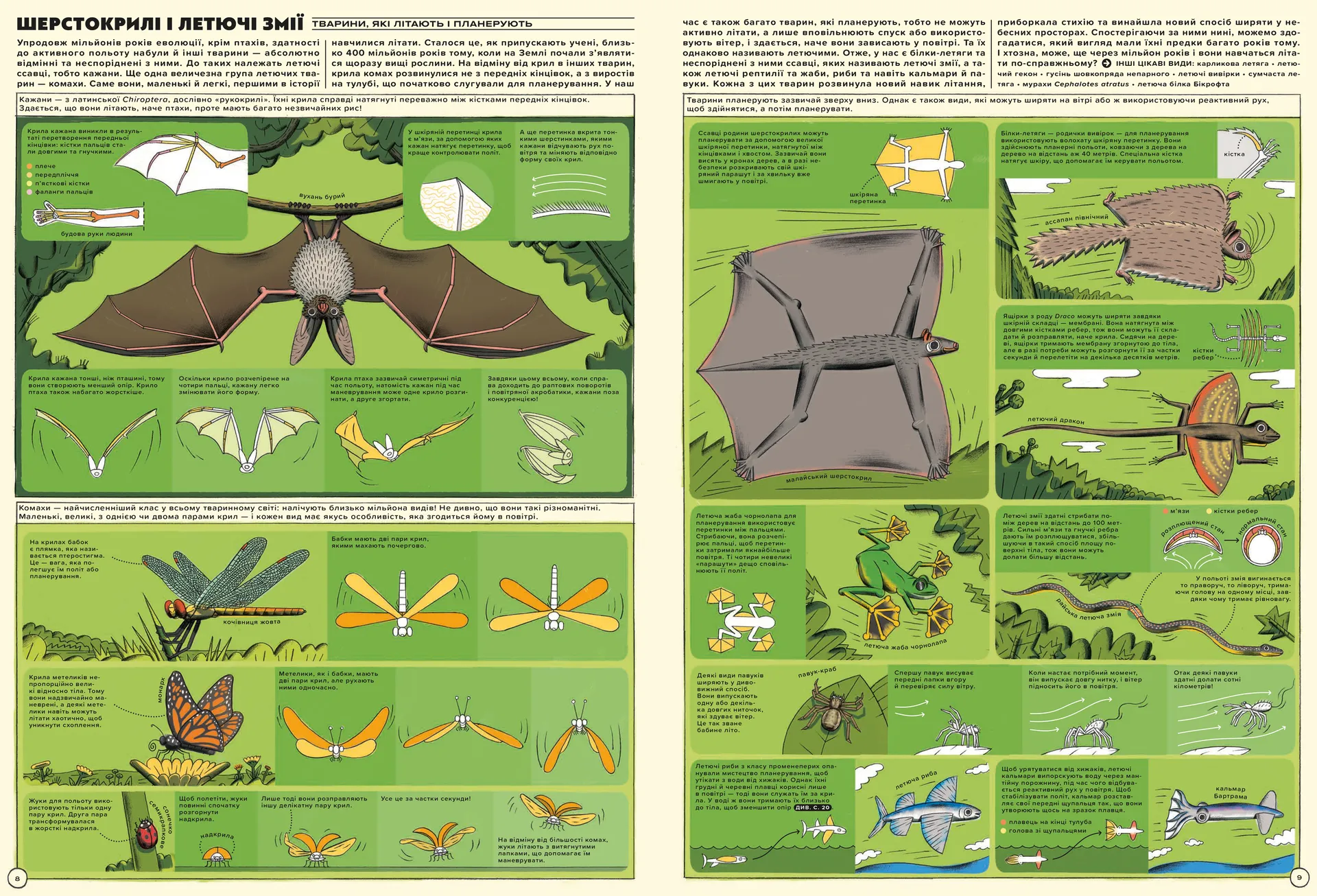 Але високо! Мальована історія авіації