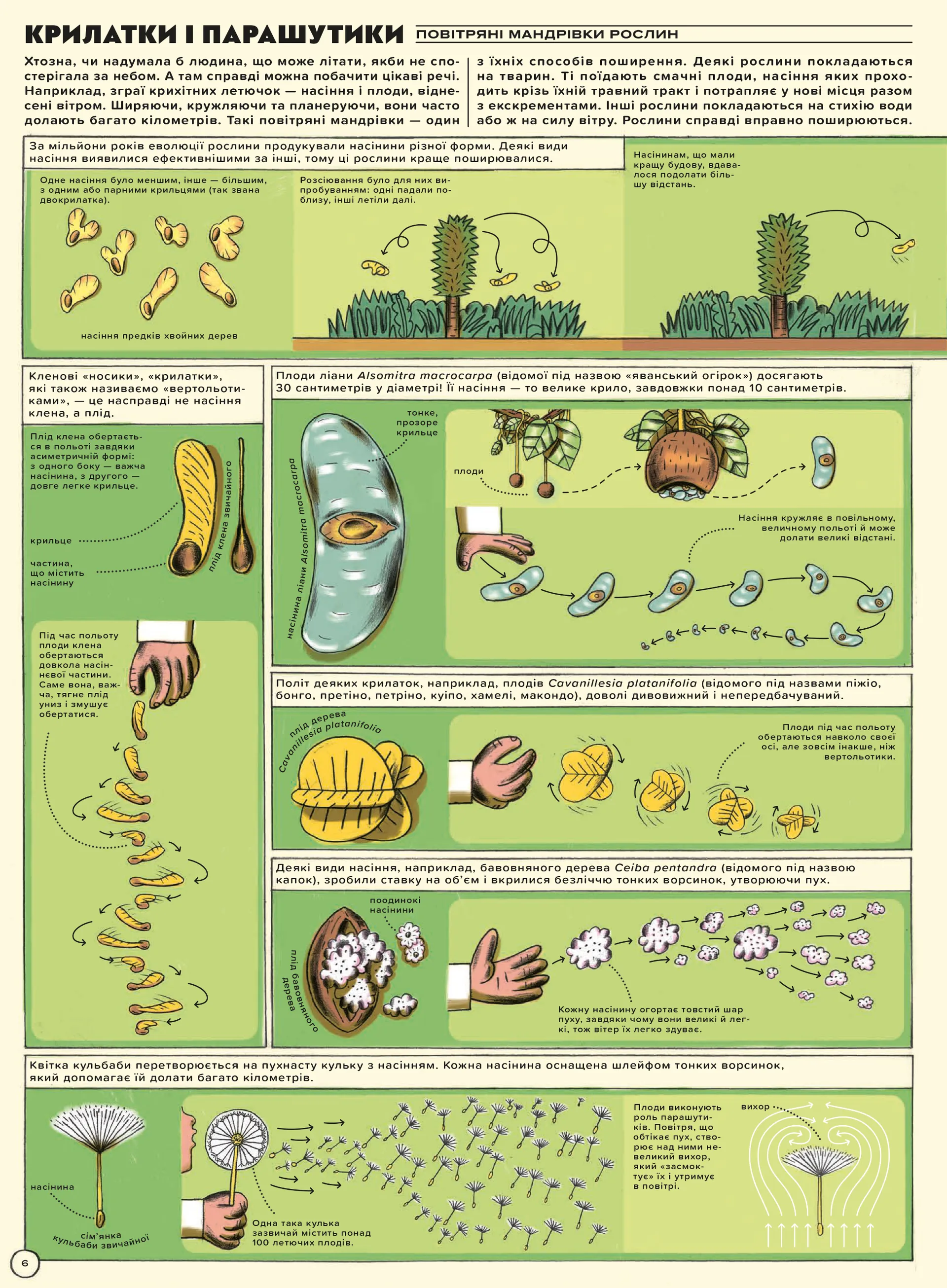 Але високо! Мальована історія авіації