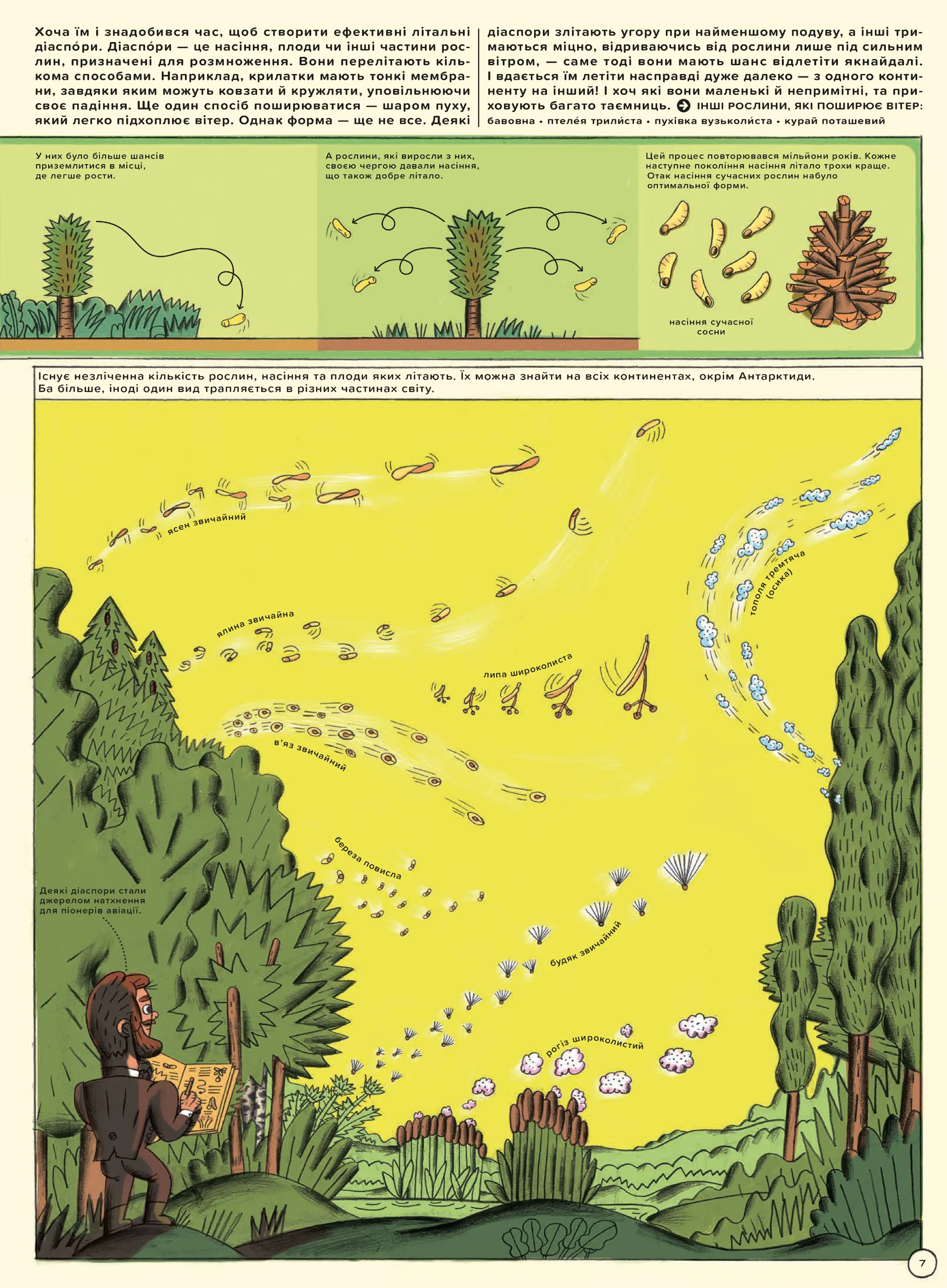 Але високо! Мальована історія авіації