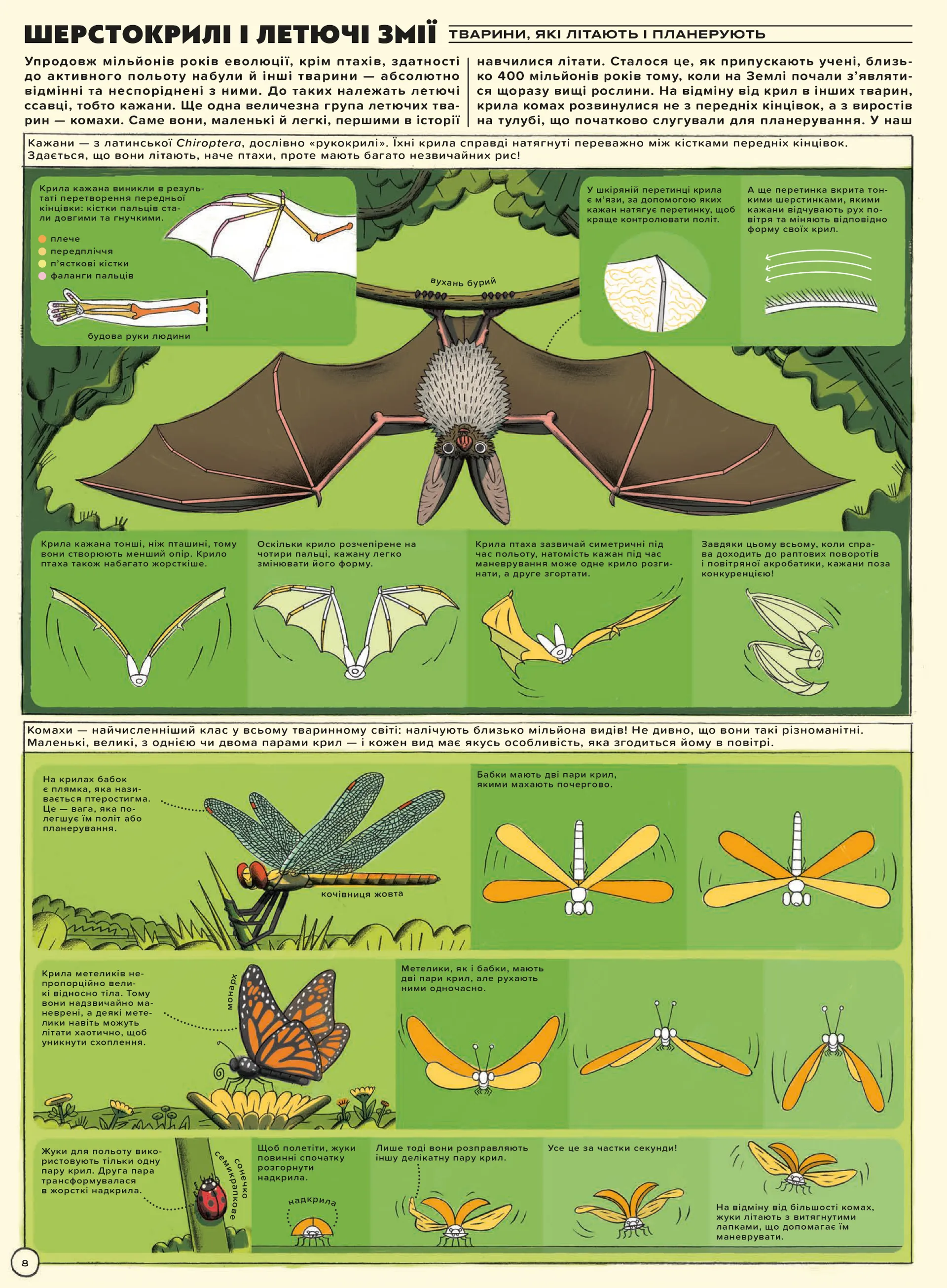 Але високо! Мальована історія авіації