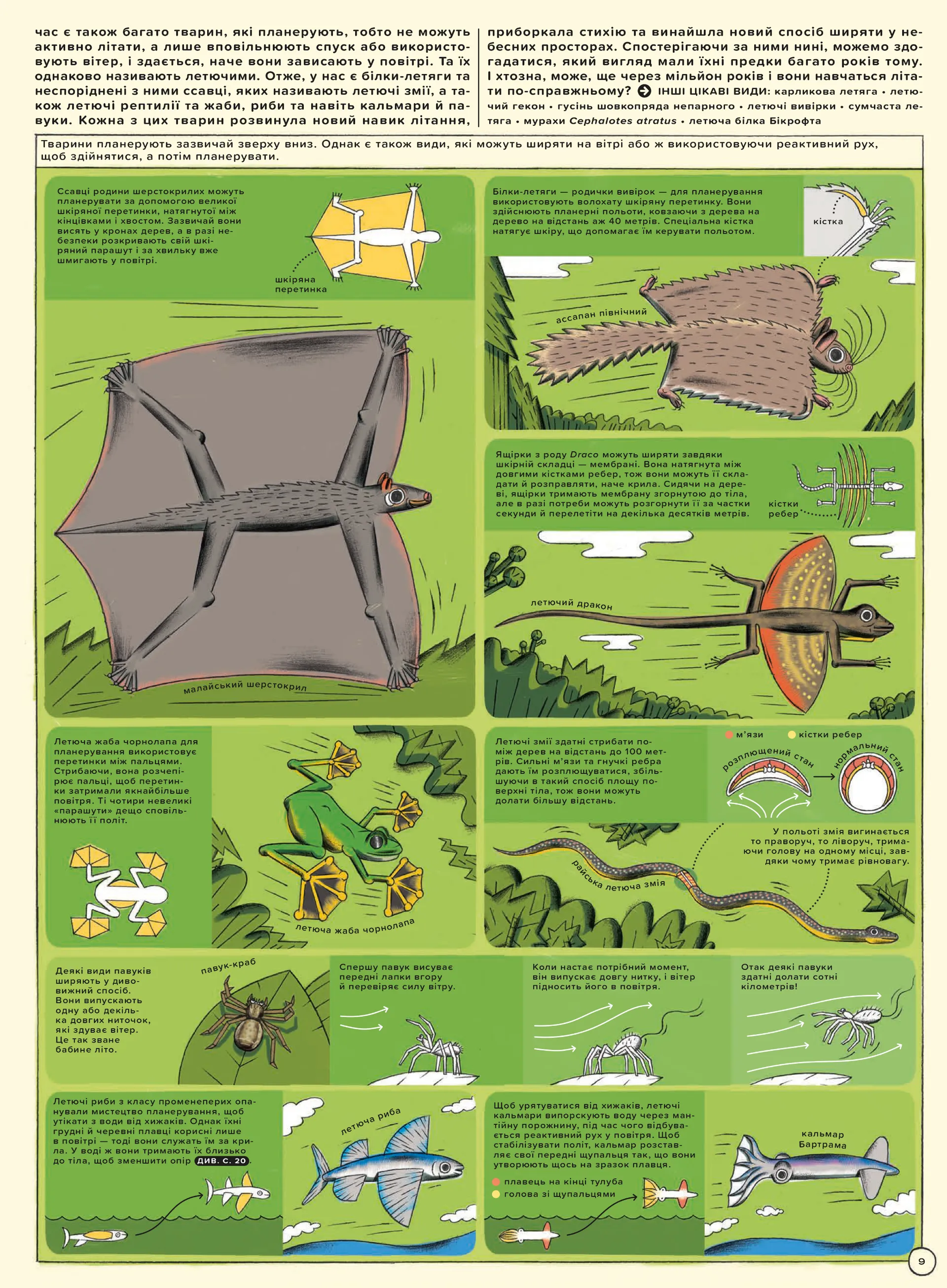 Але високо! Мальована історія авіації