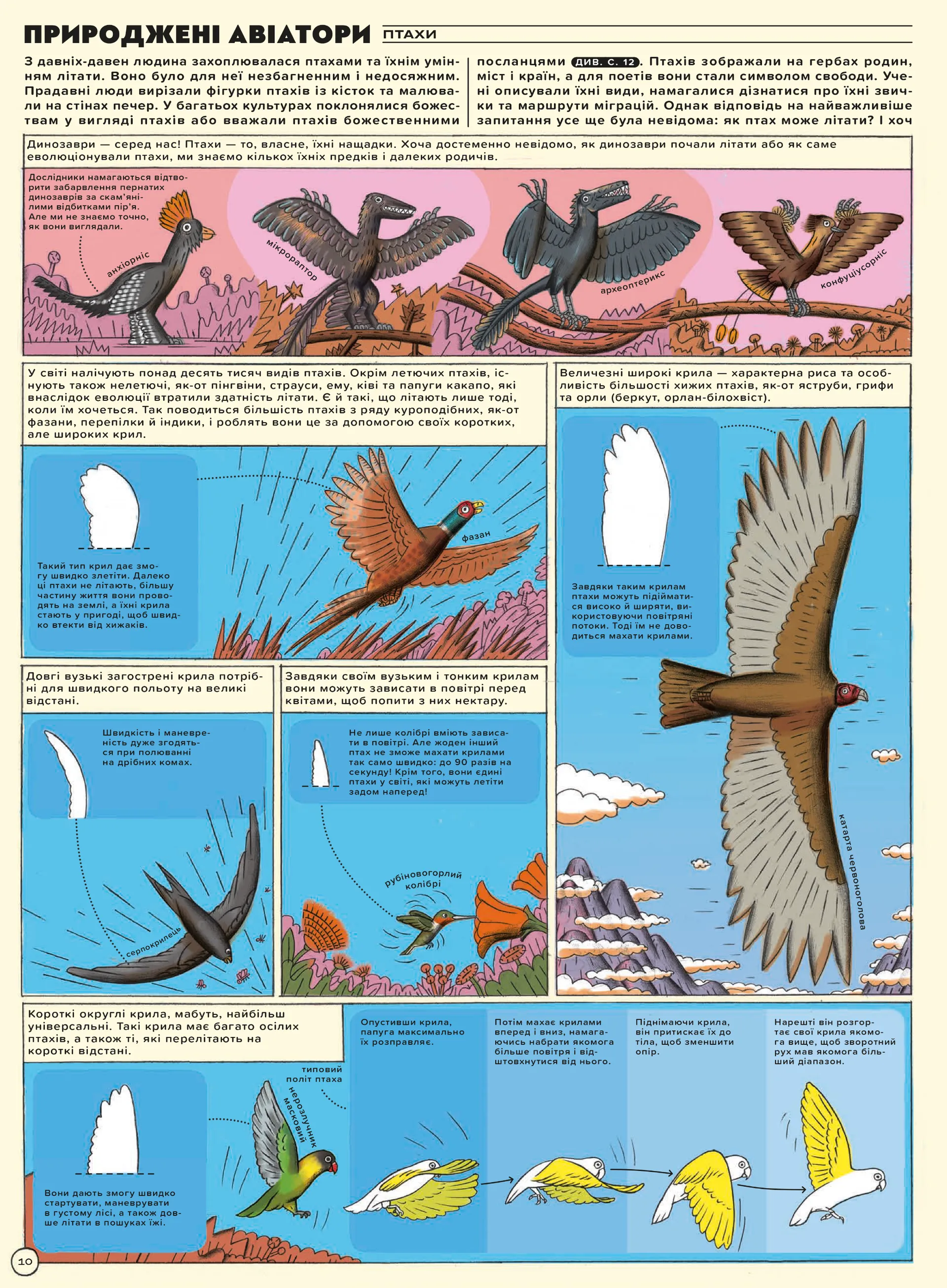 Але високо! Мальована історія авіації