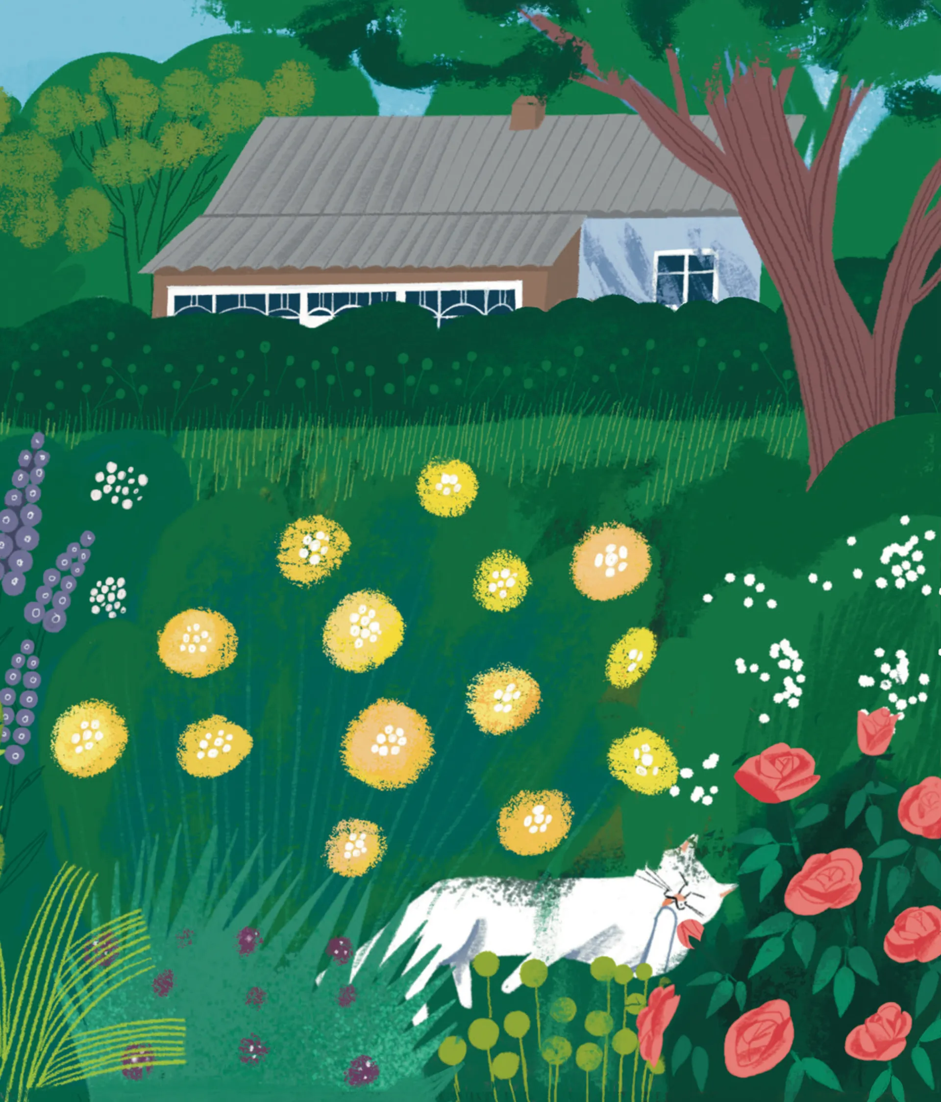 Таємне життя Карамельки