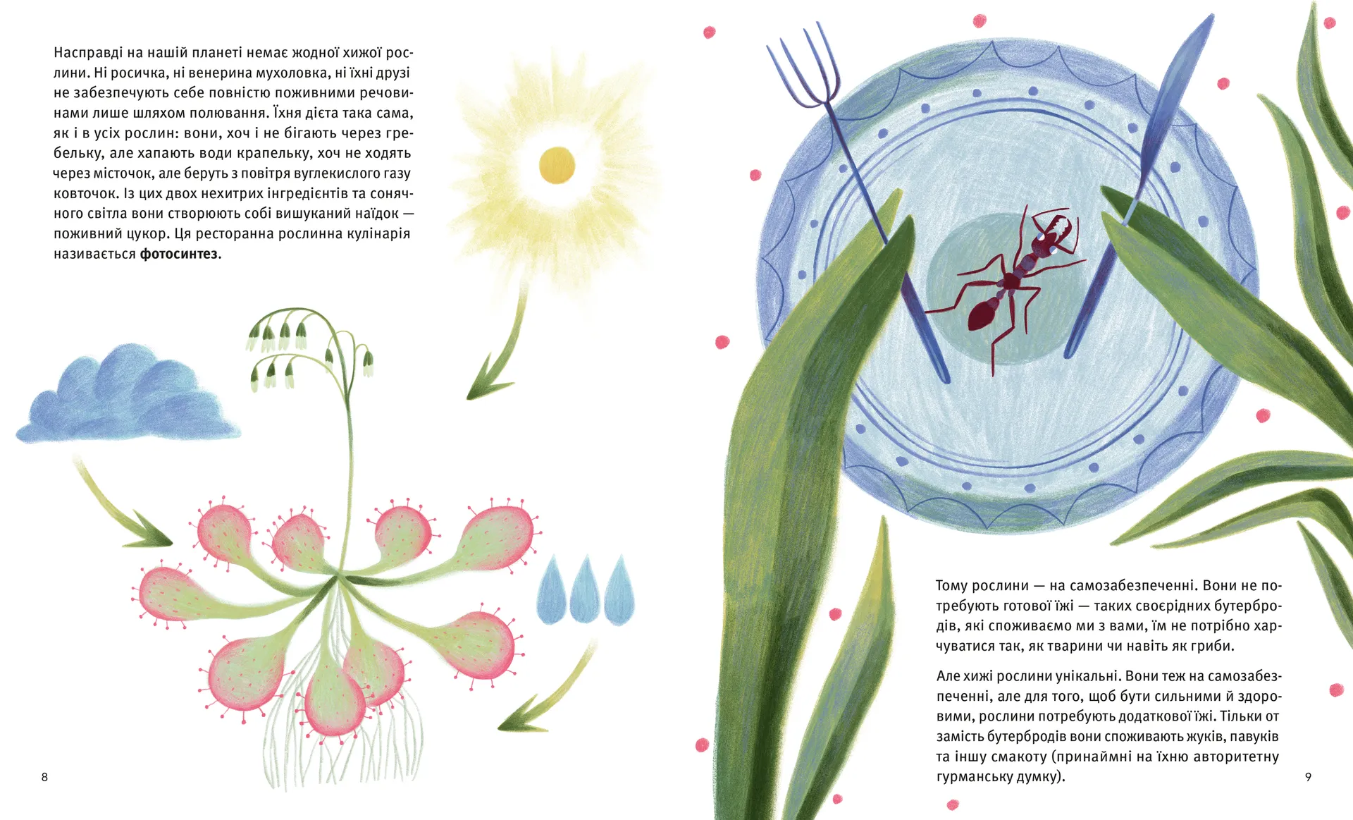 Хто такі хижі рослини?