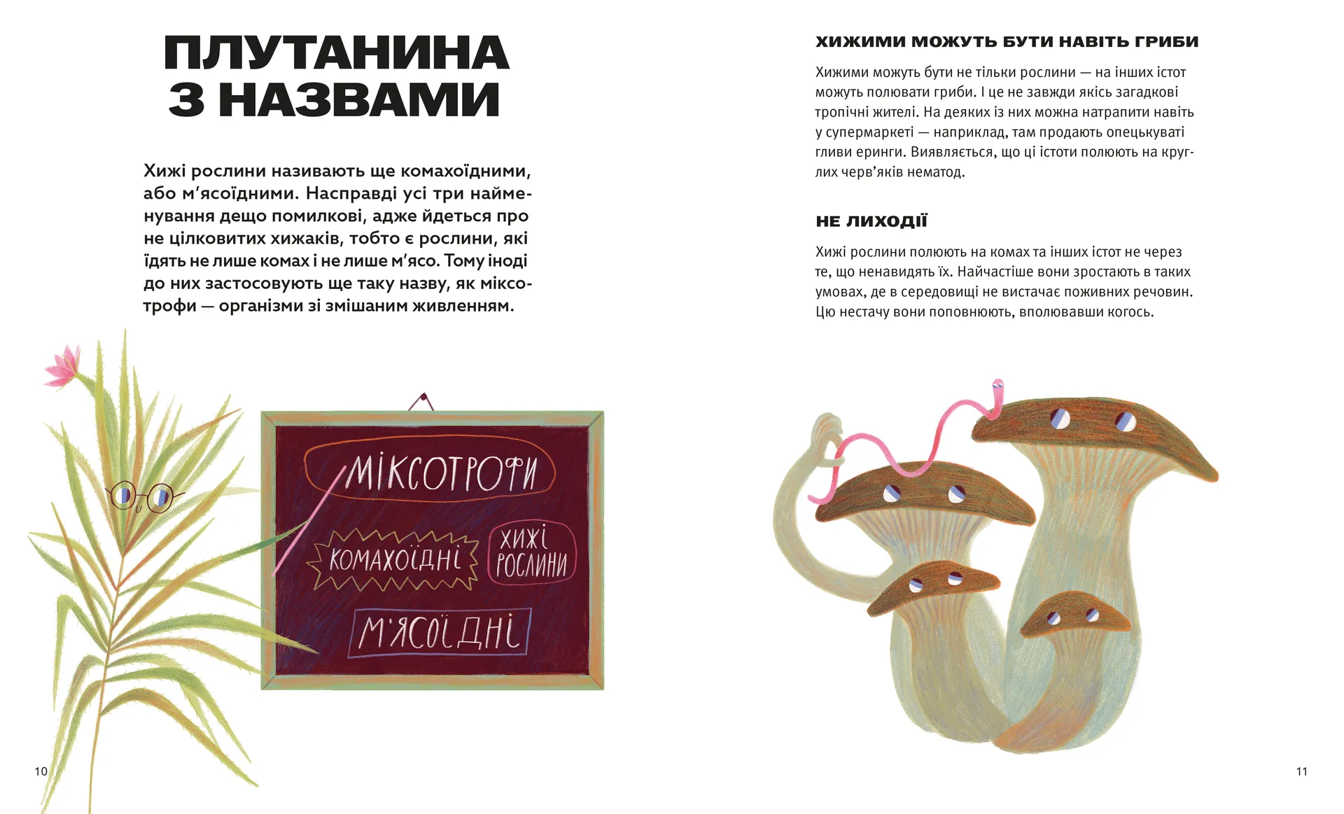 Хто такі хижі рослини?