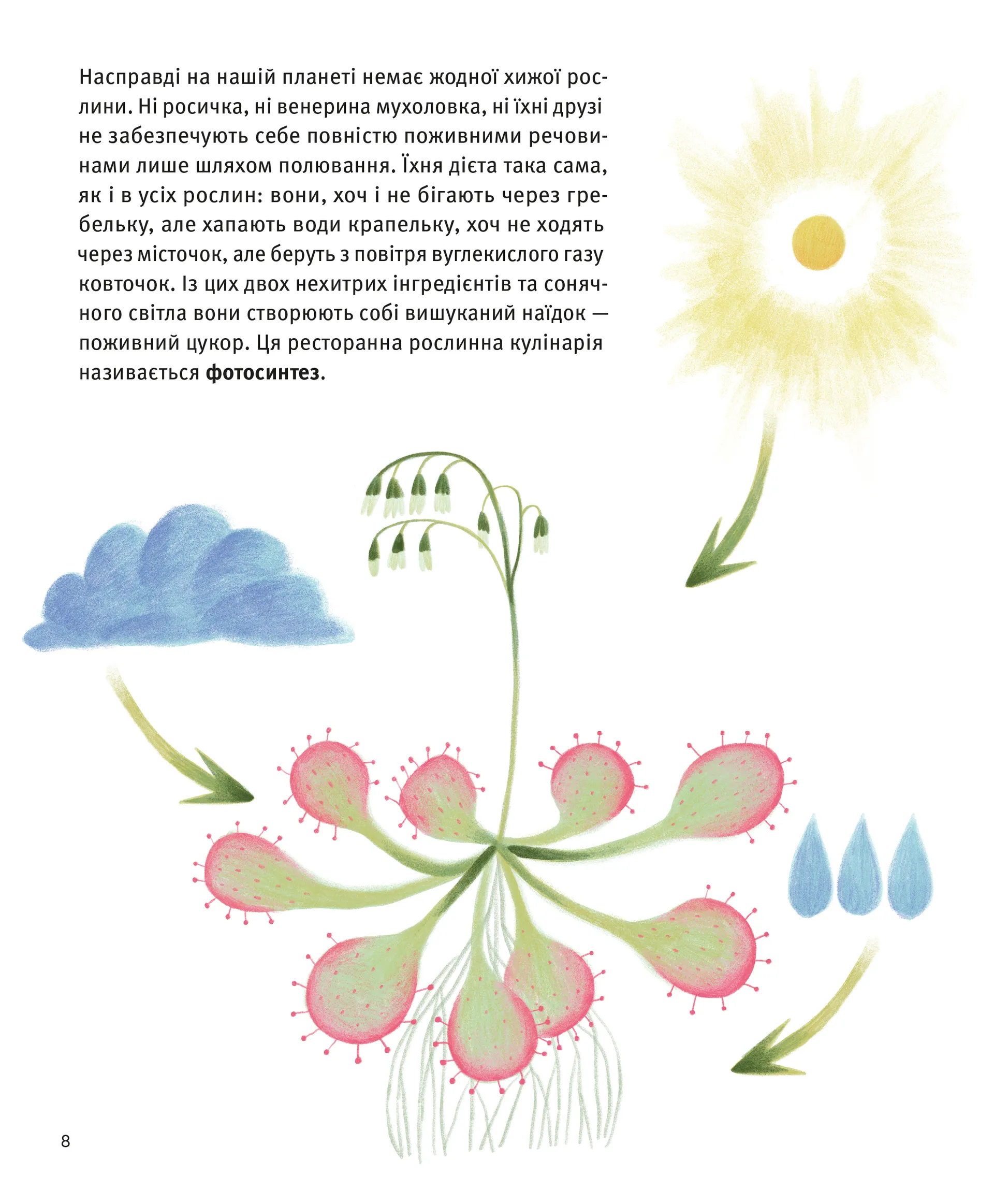 Хто такі хижі рослини?