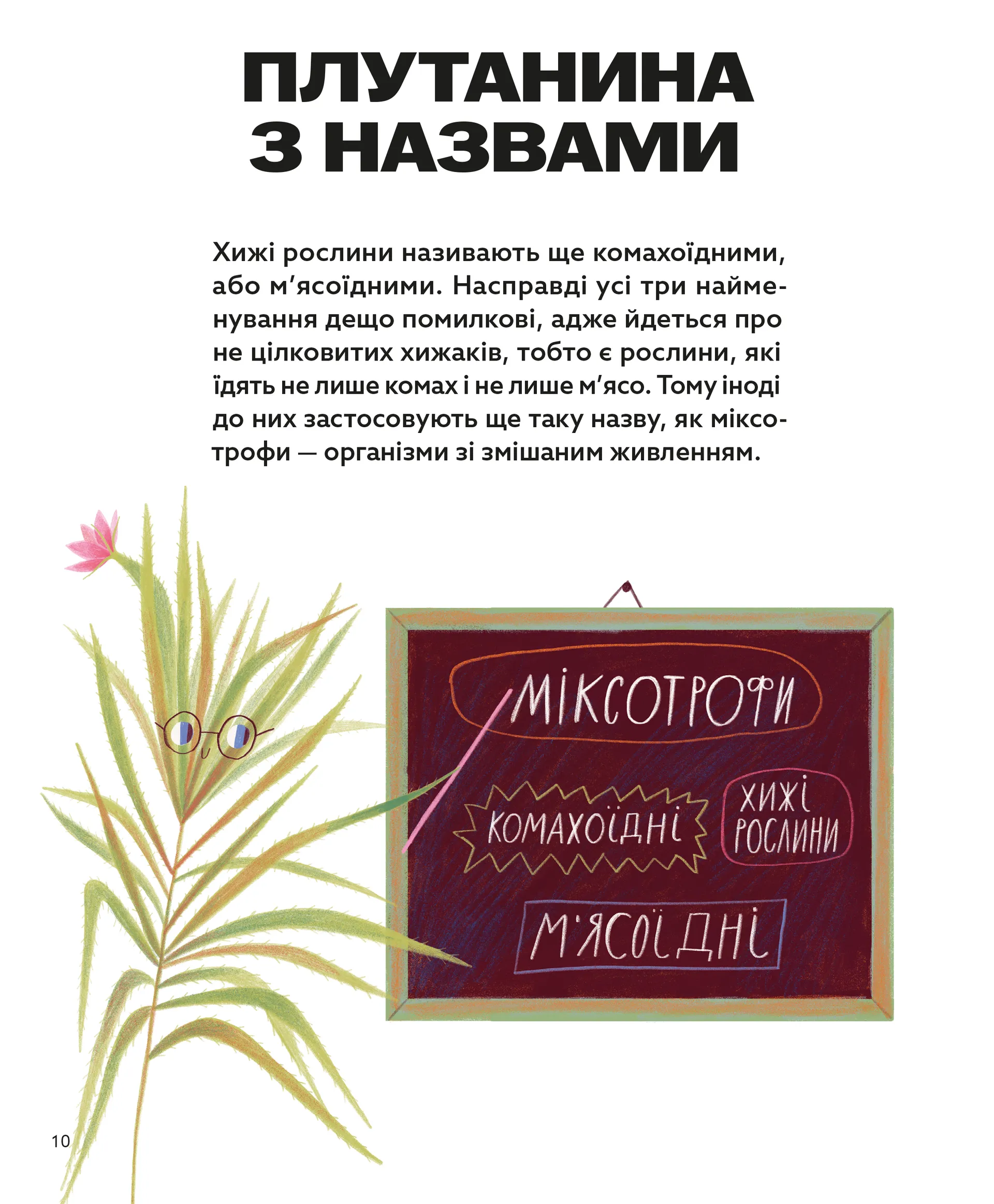 Хто такі хижі рослини?