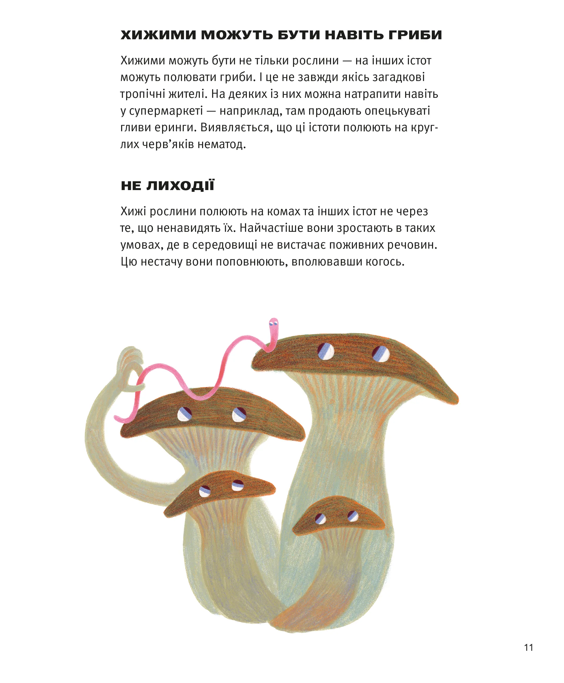 Хто такі хижі рослини?