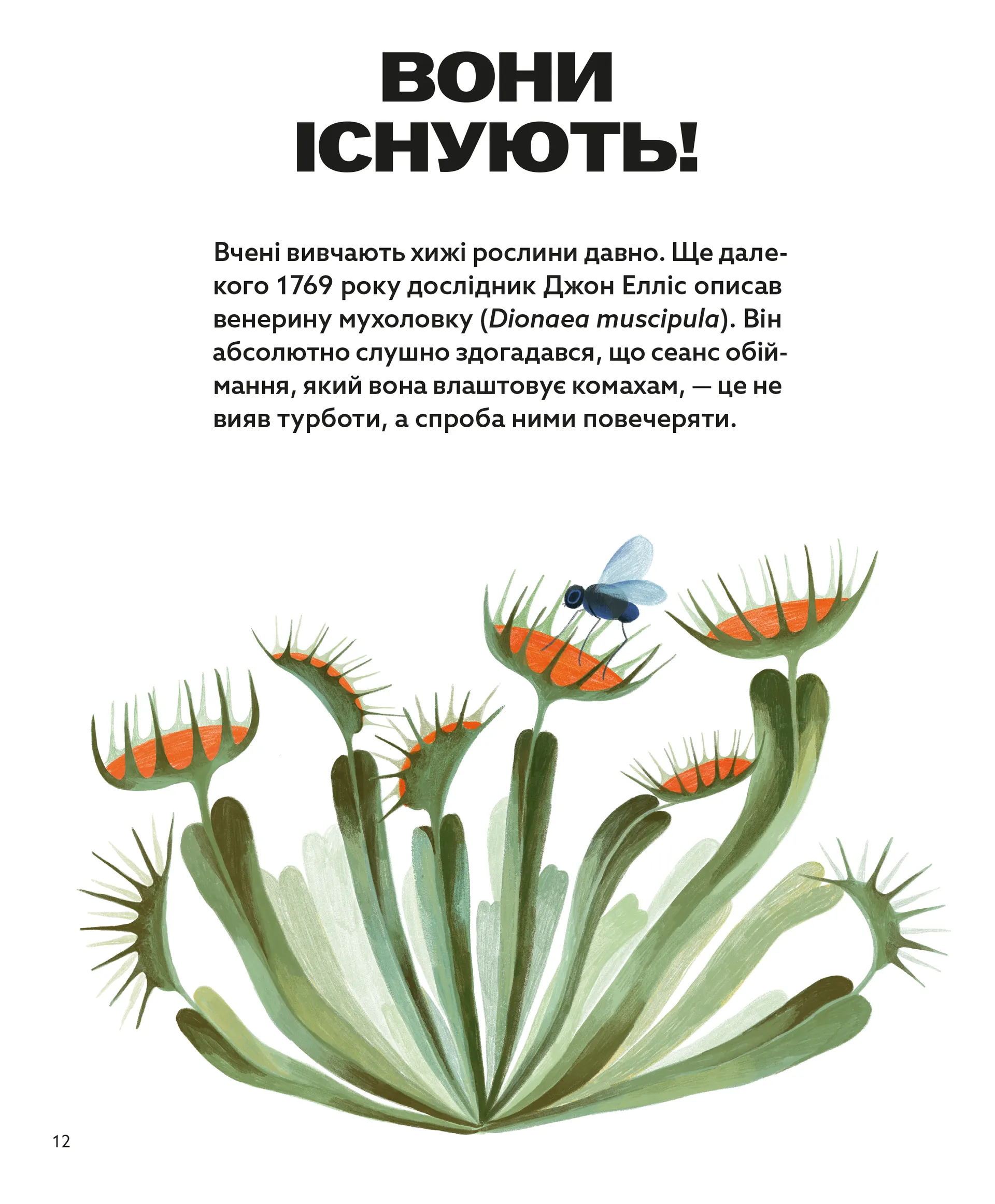 Хто такі хижі рослини?