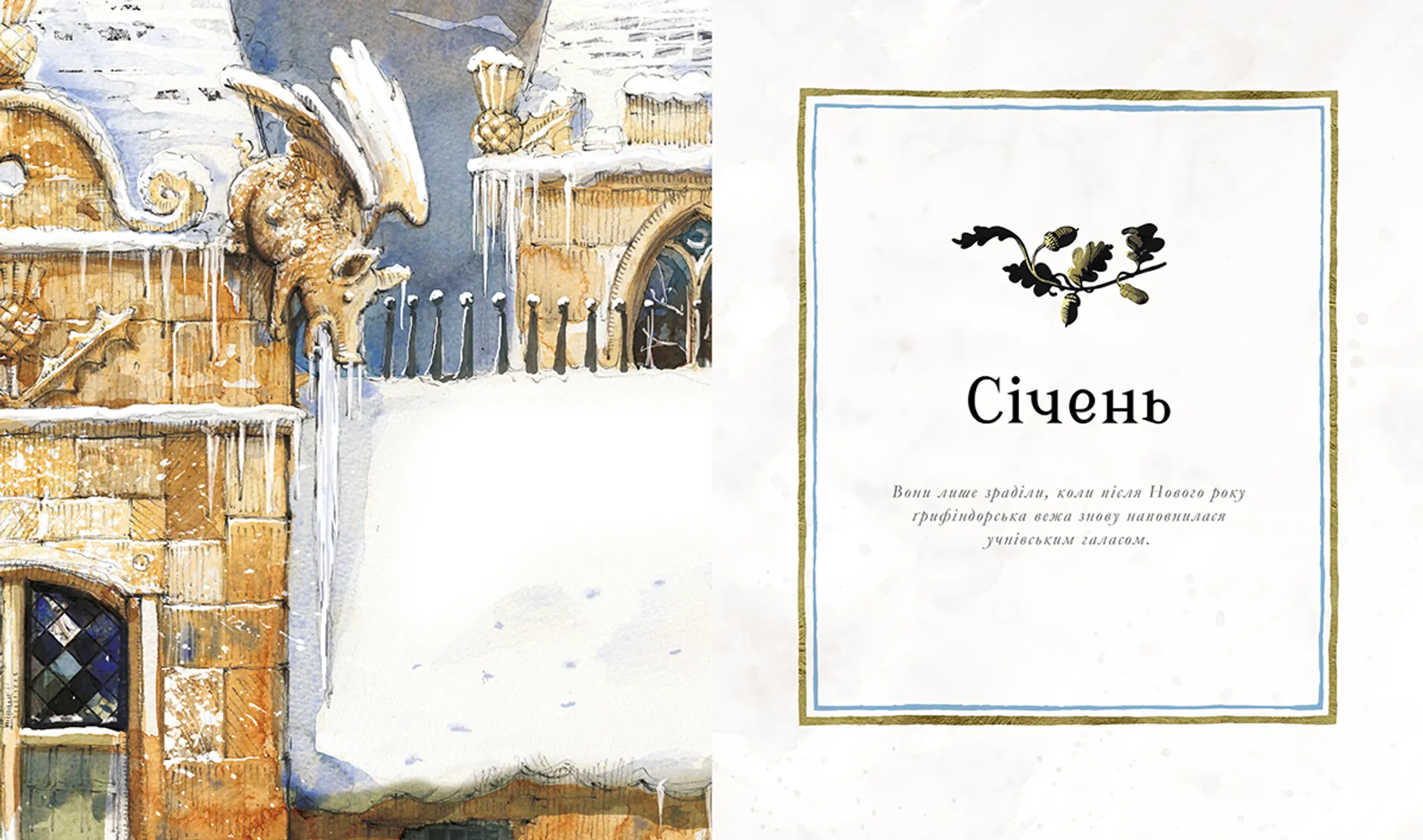 Гаррі Поттер: Магічний рік. Велике ілюстроване видання