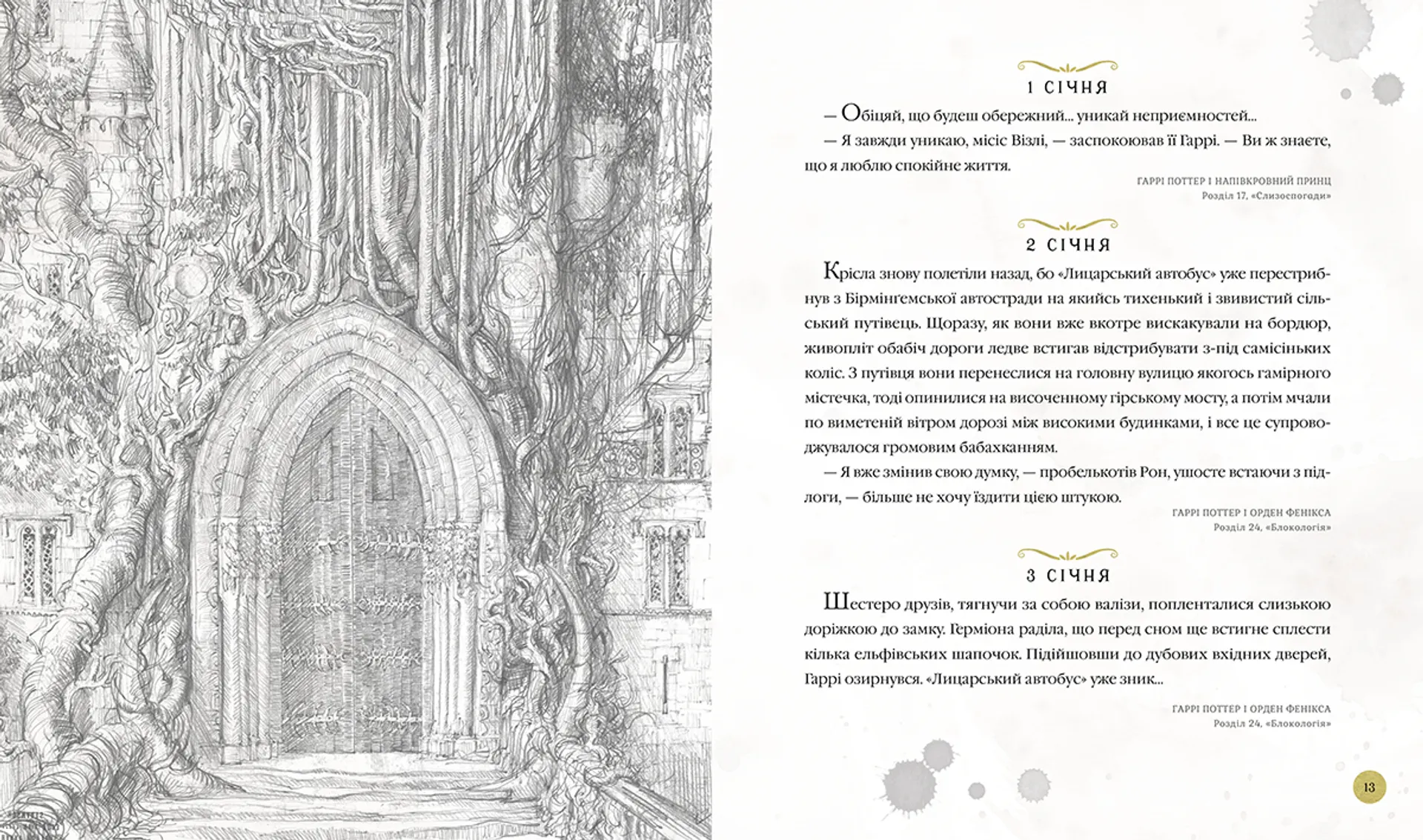 Гаррі Поттер: Магічний рік. Велике ілюстроване видання