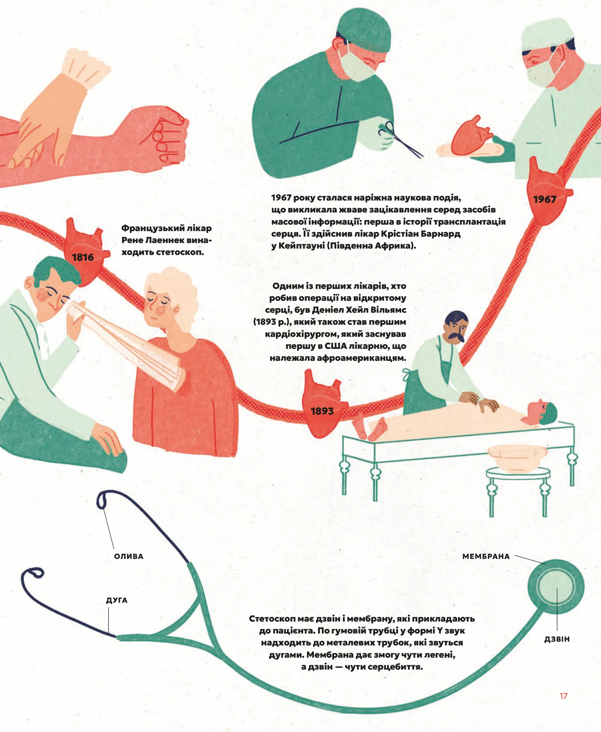 Серце. Історія, наука і багато любові