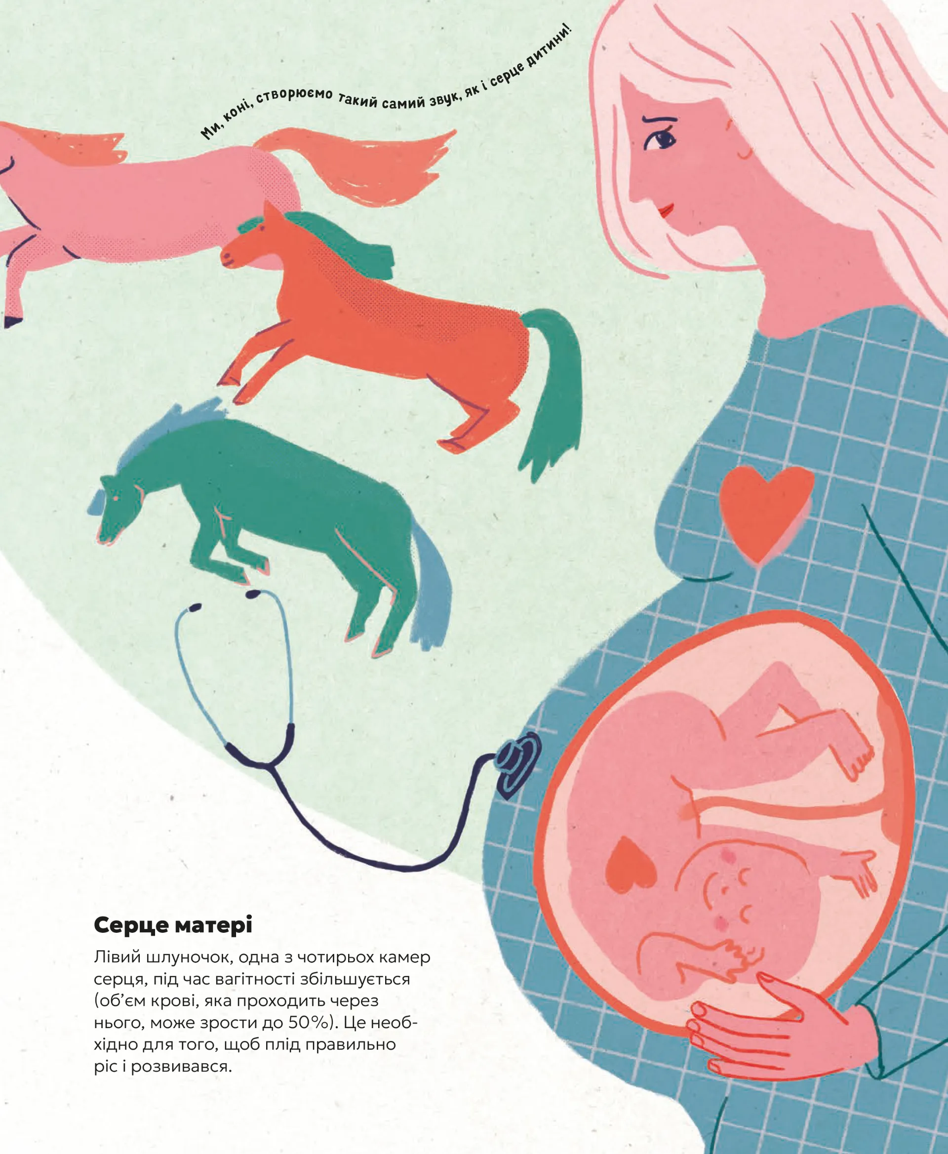 Серце. Історія, наука і багато любові