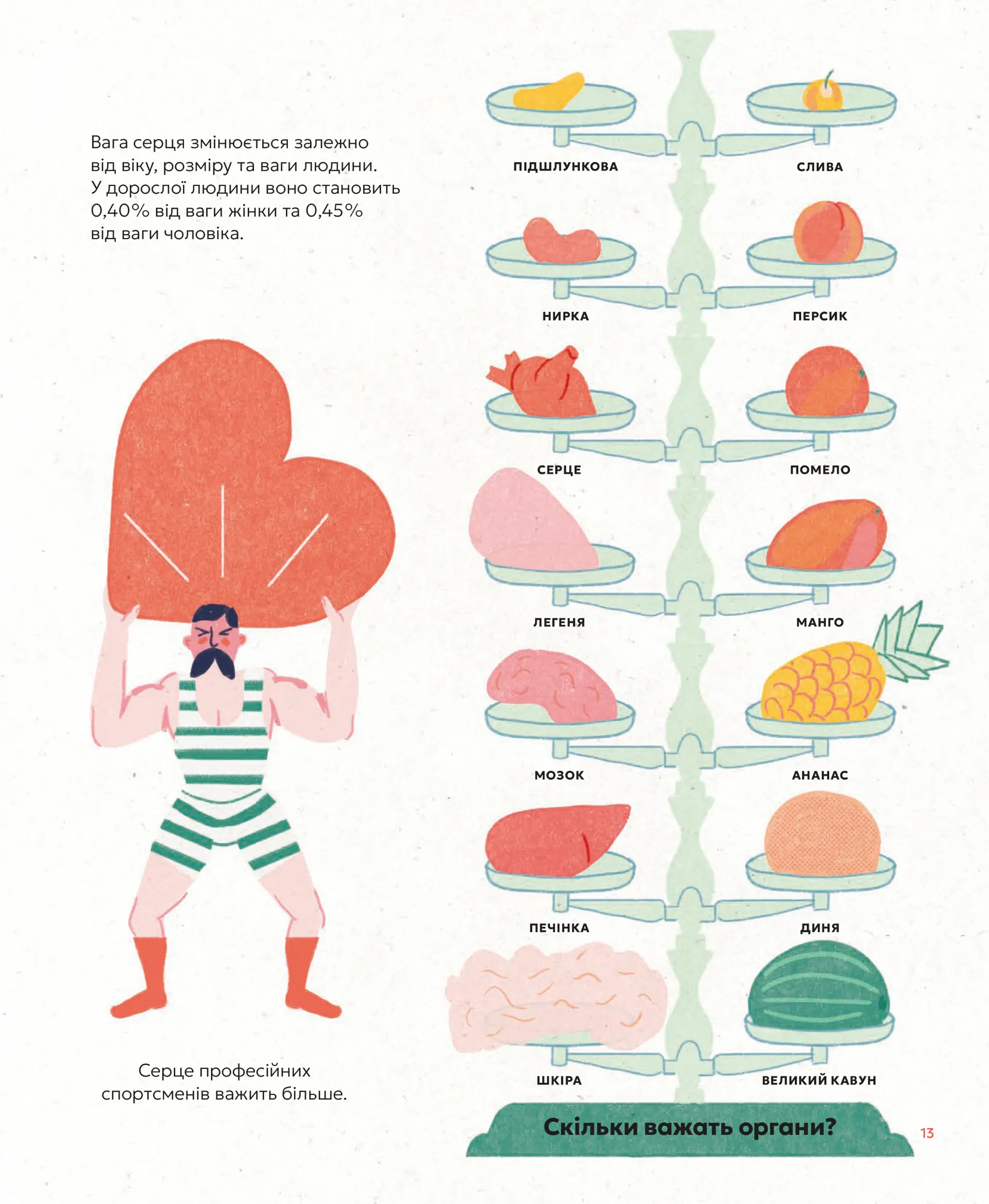 Серце. Історія, наука і багато любові