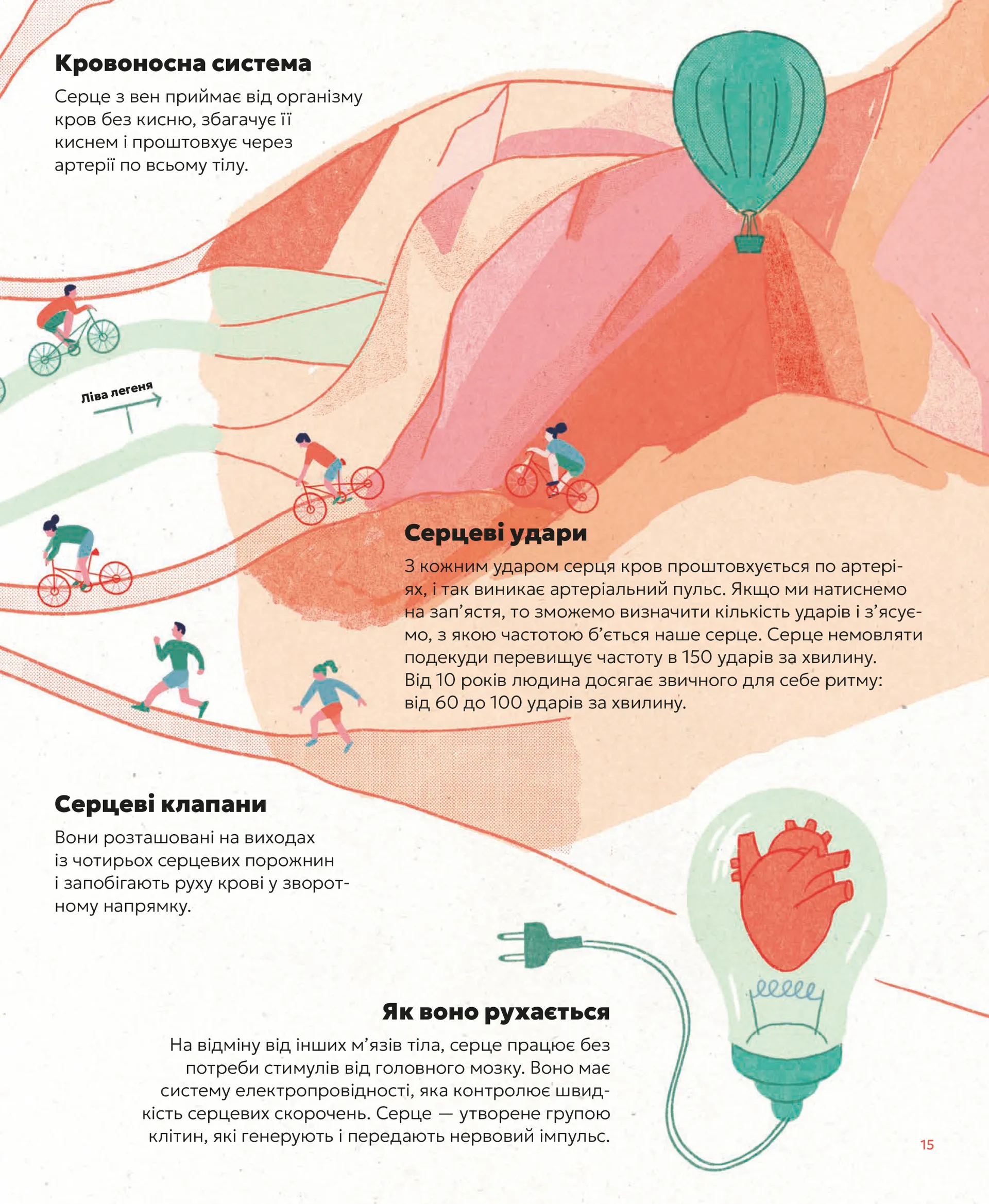 Серце. Історія, наука і багато любові