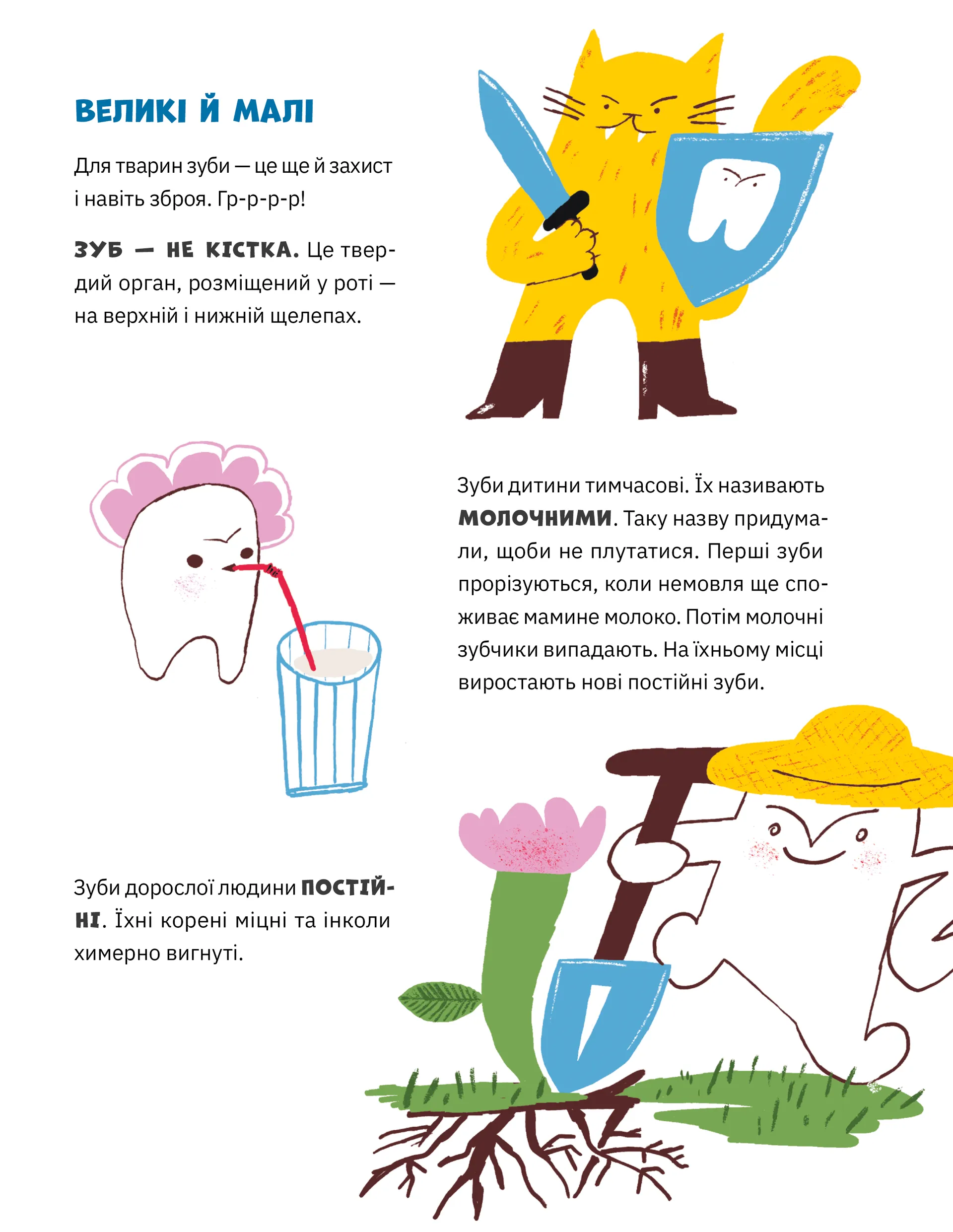 Зуби, зубиська і зубенята