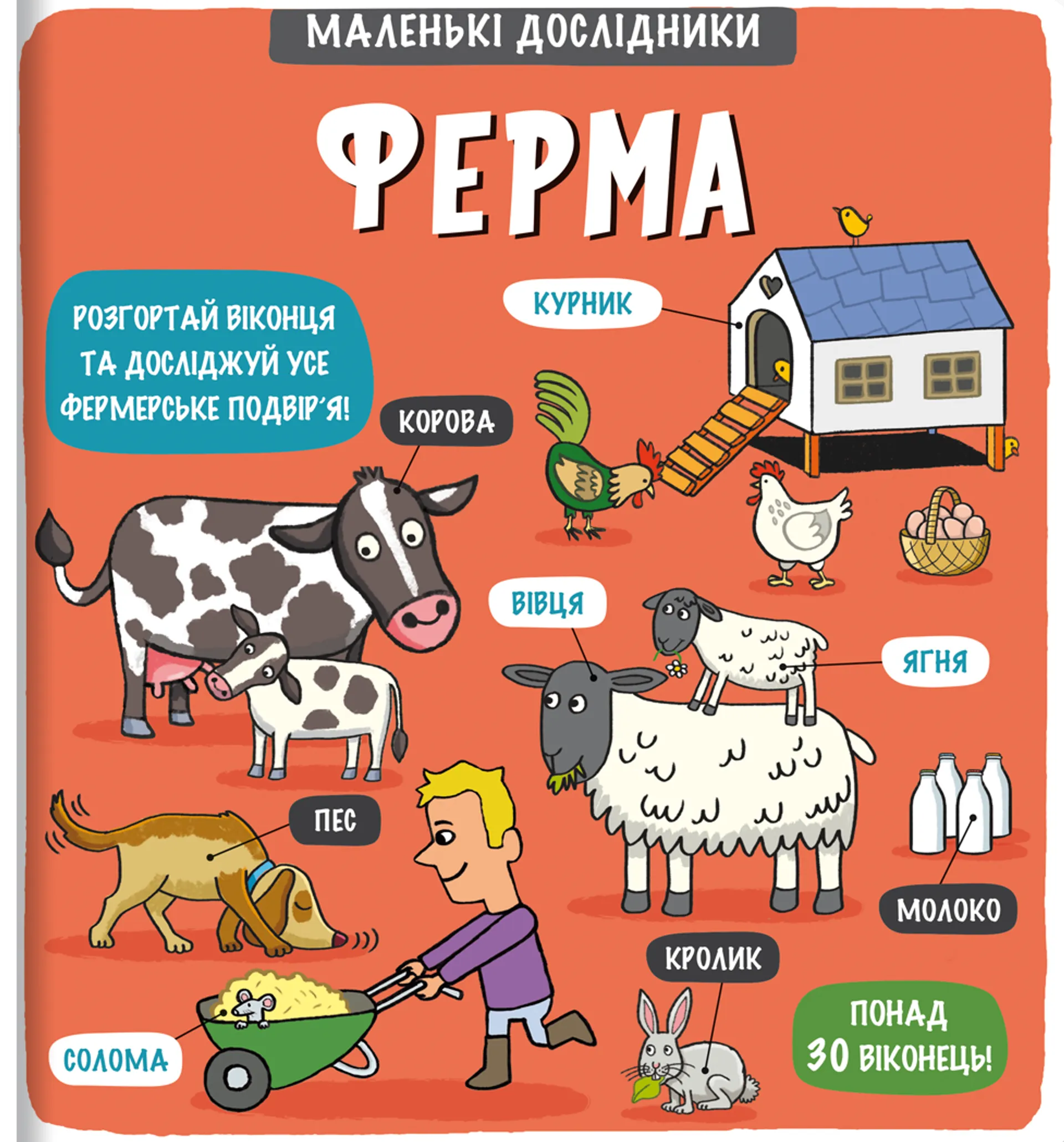 Маленькі дослідники. Ферма