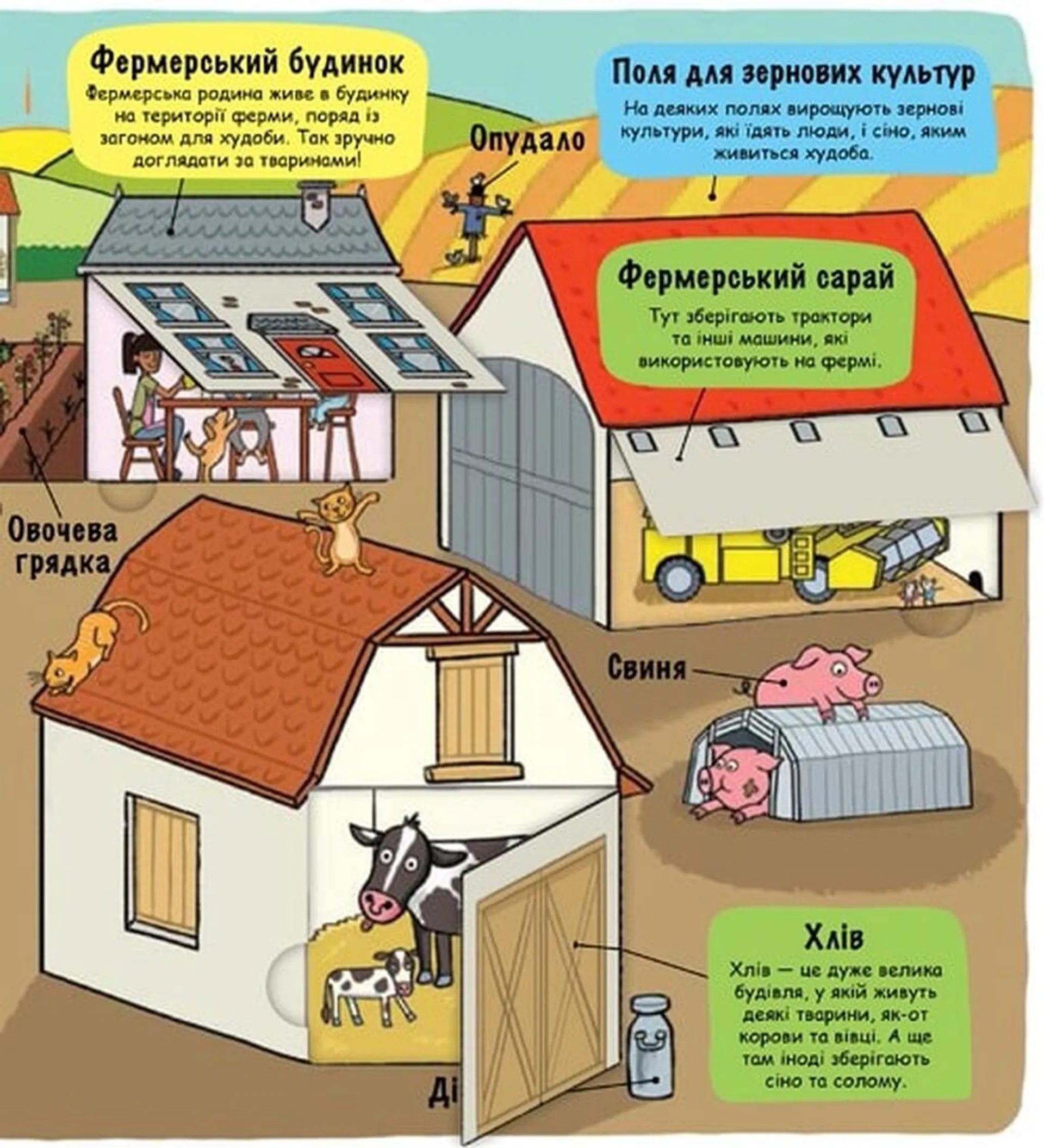 Маленькі дослідники. Ферма
