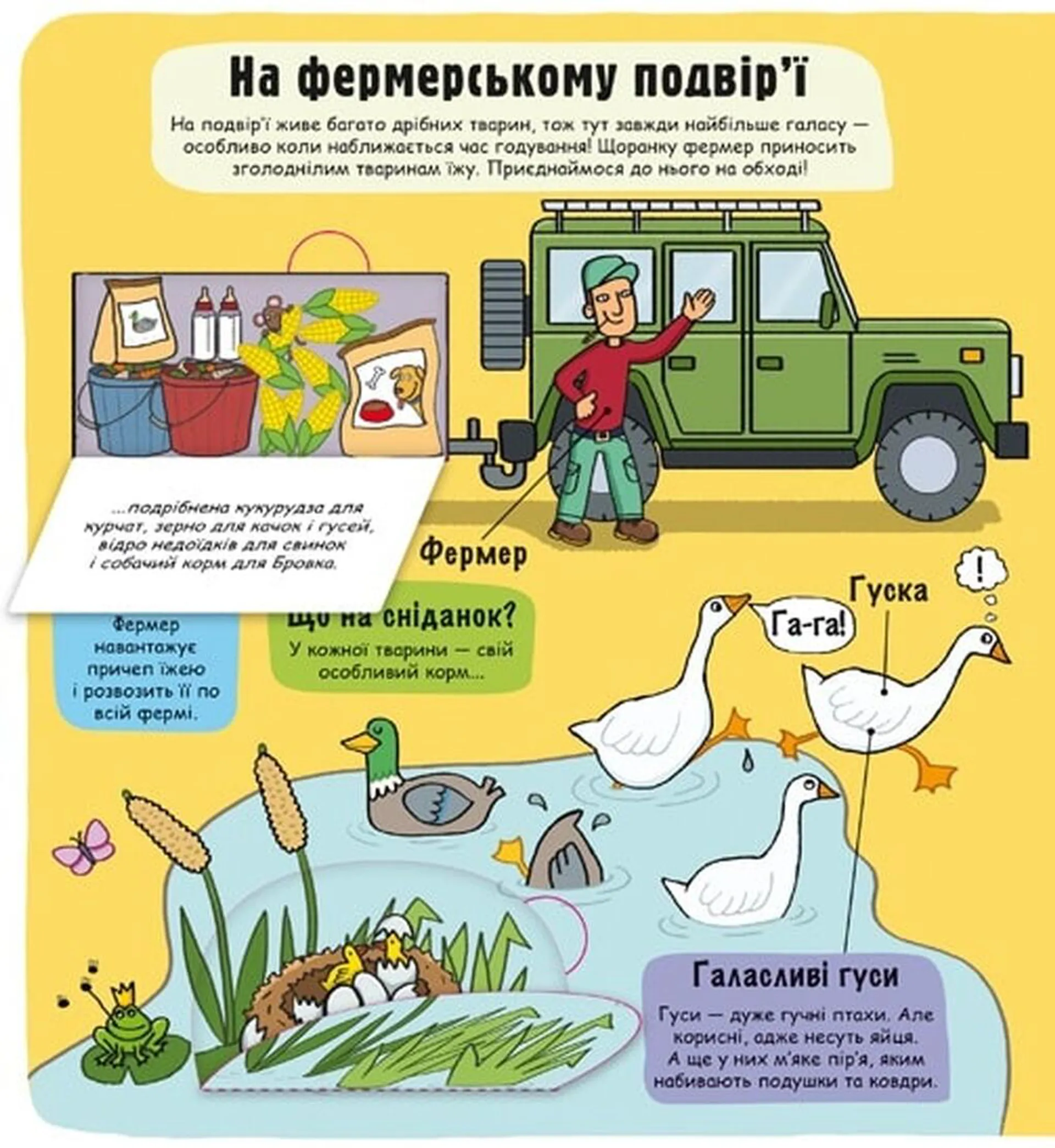 Маленькі дослідники. Ферма