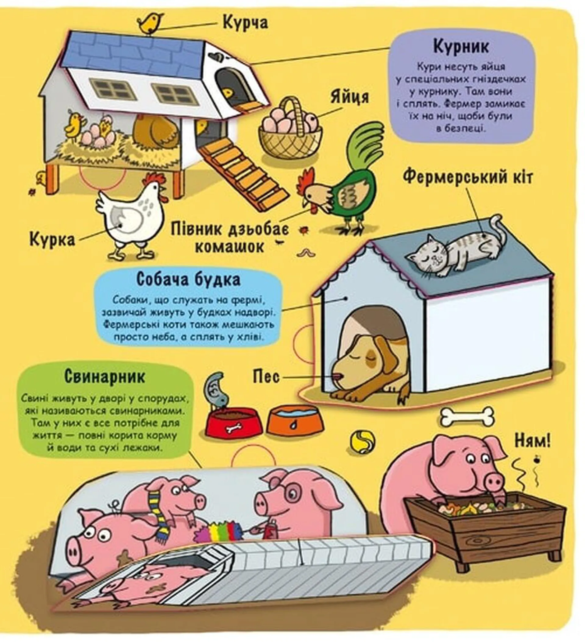 Маленькі дослідники. Ферма