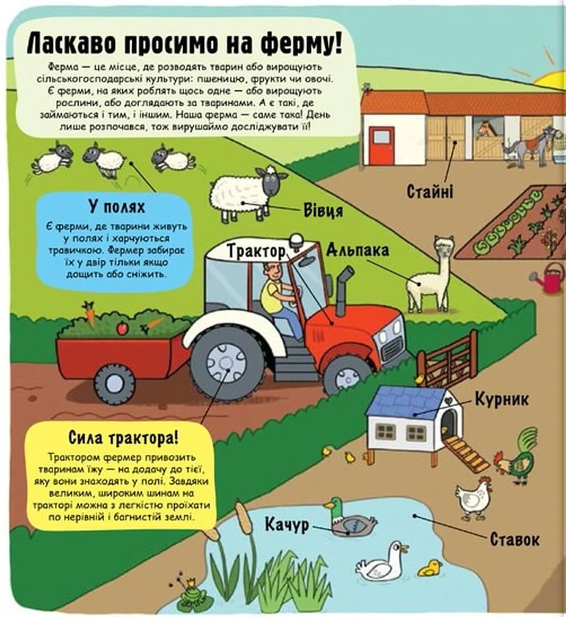 Маленькі дослідники. Ферма