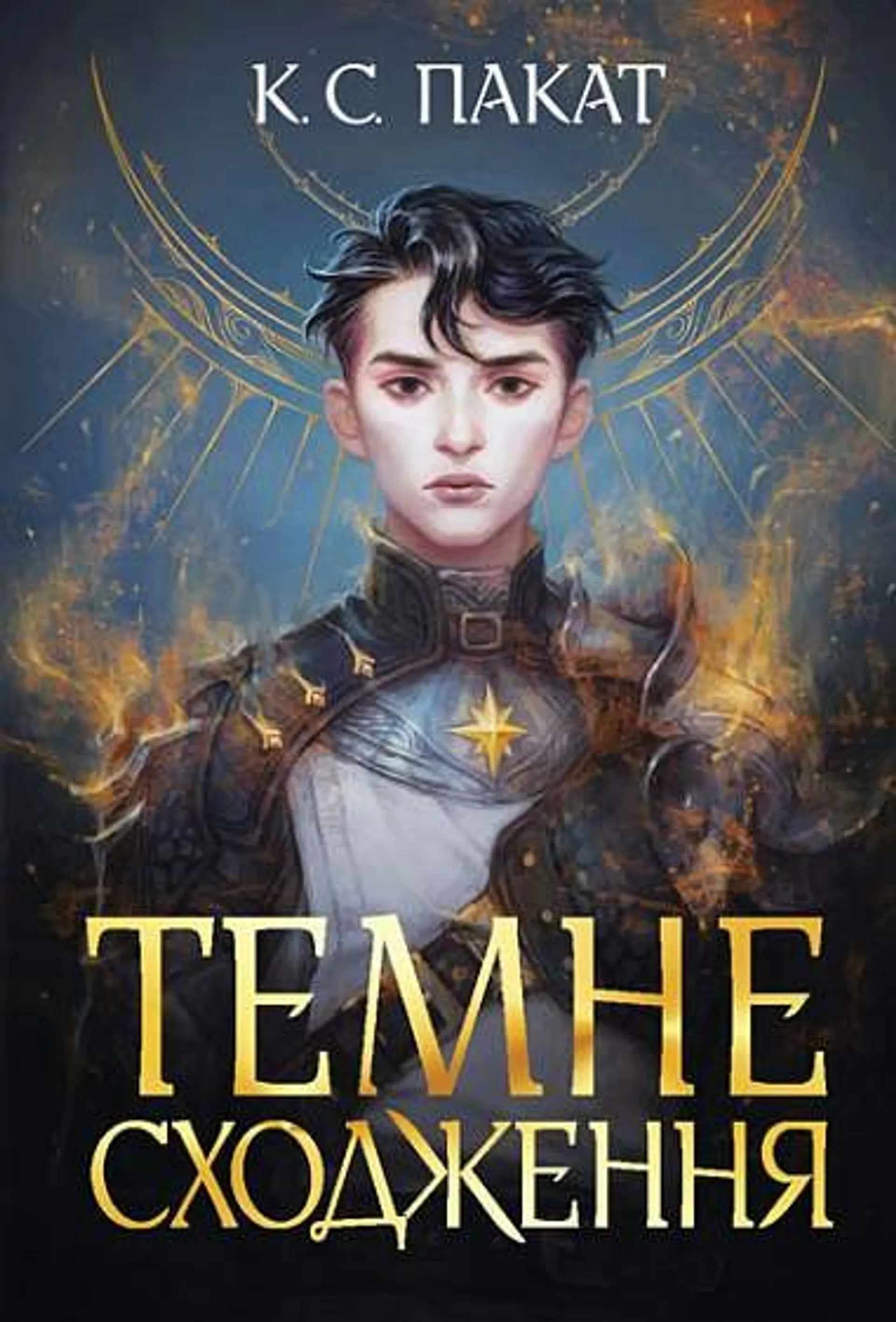 Темне сходження. Книга 1