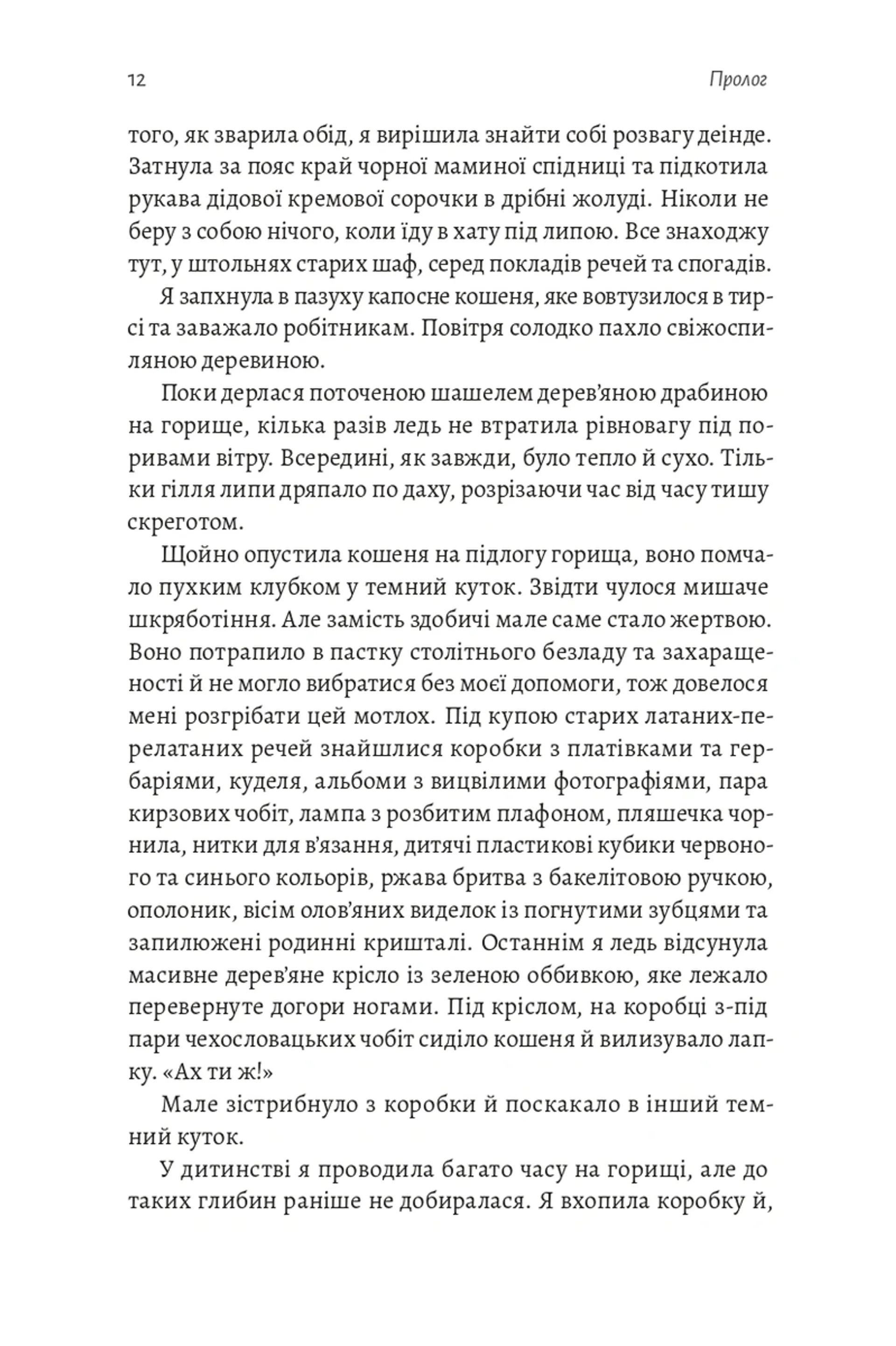 Тінь Малої Ведмедиці