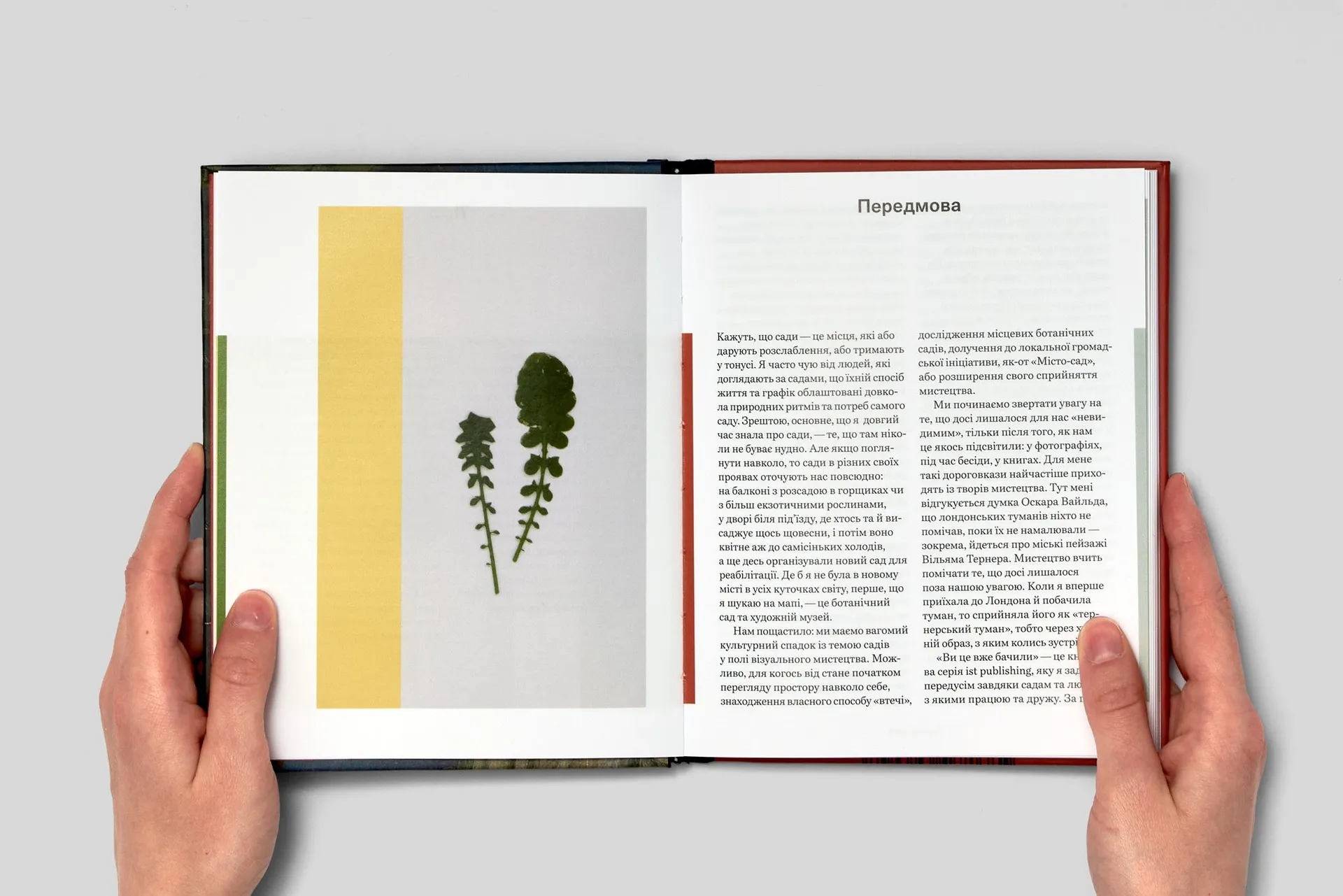 Сад (IST publishing)