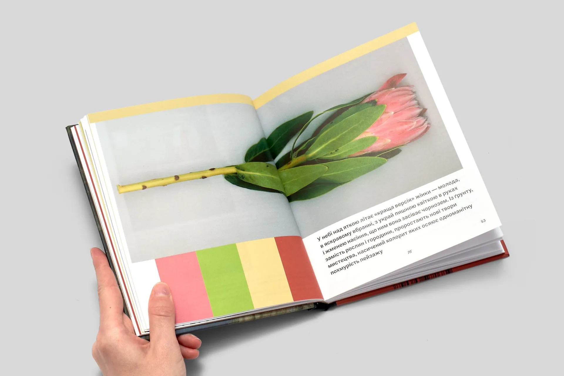 Сад (IST publishing)