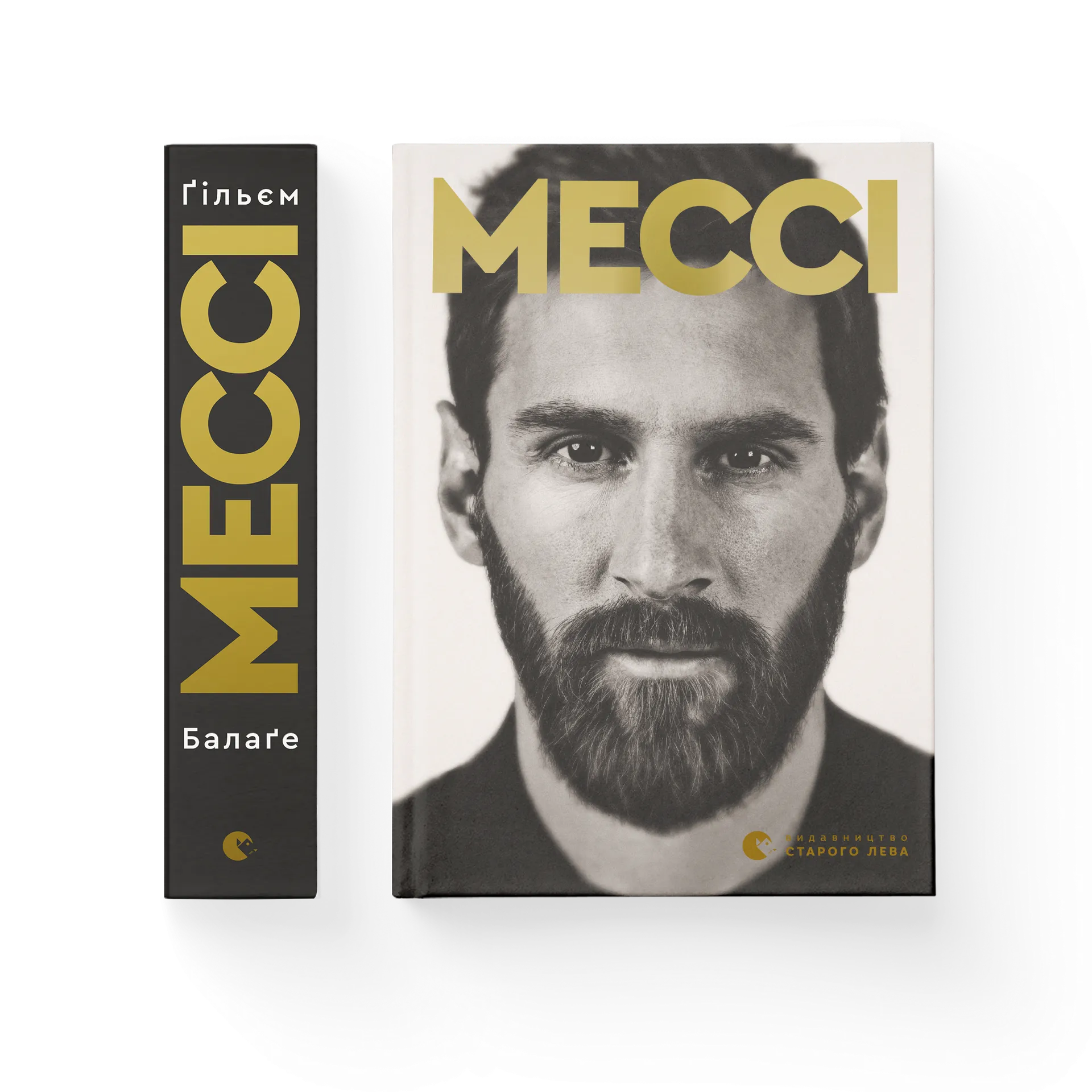 Дефект. Книга Мессі
