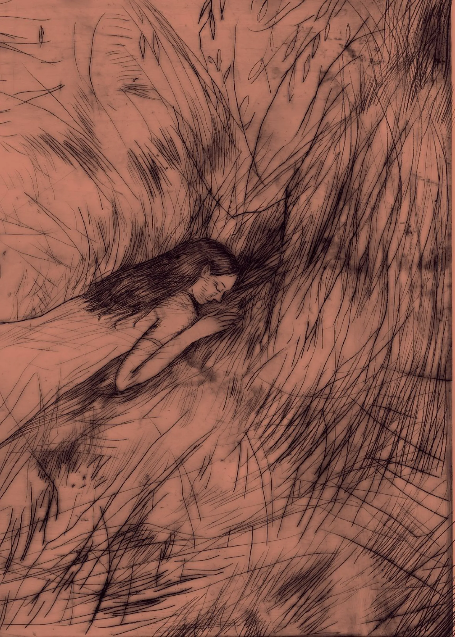 Коні і люди