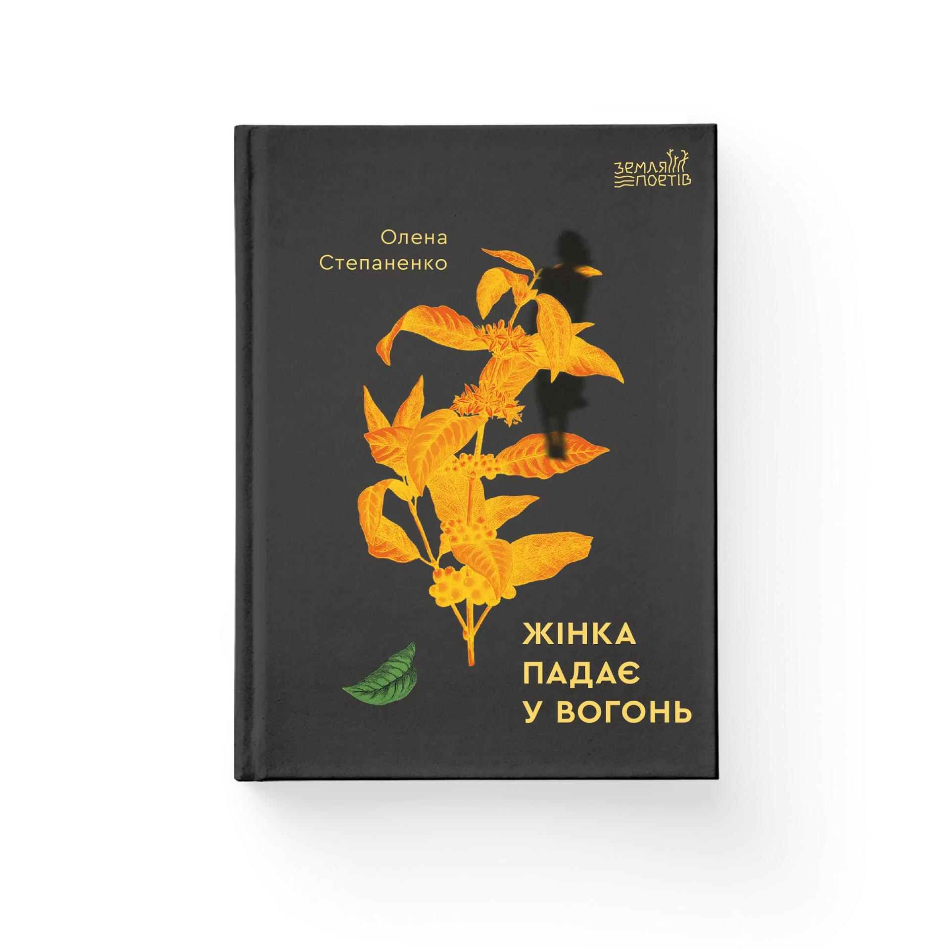 Жінка падає у вогонь