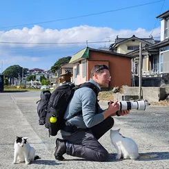 Алешандре Бонфуа