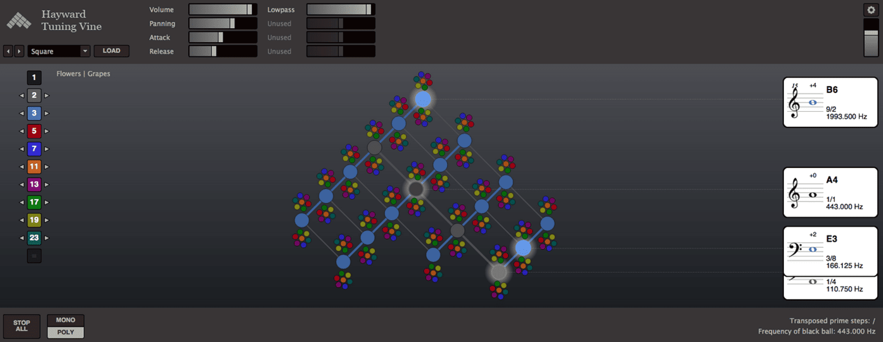 Image from Hayward Tuning Vine