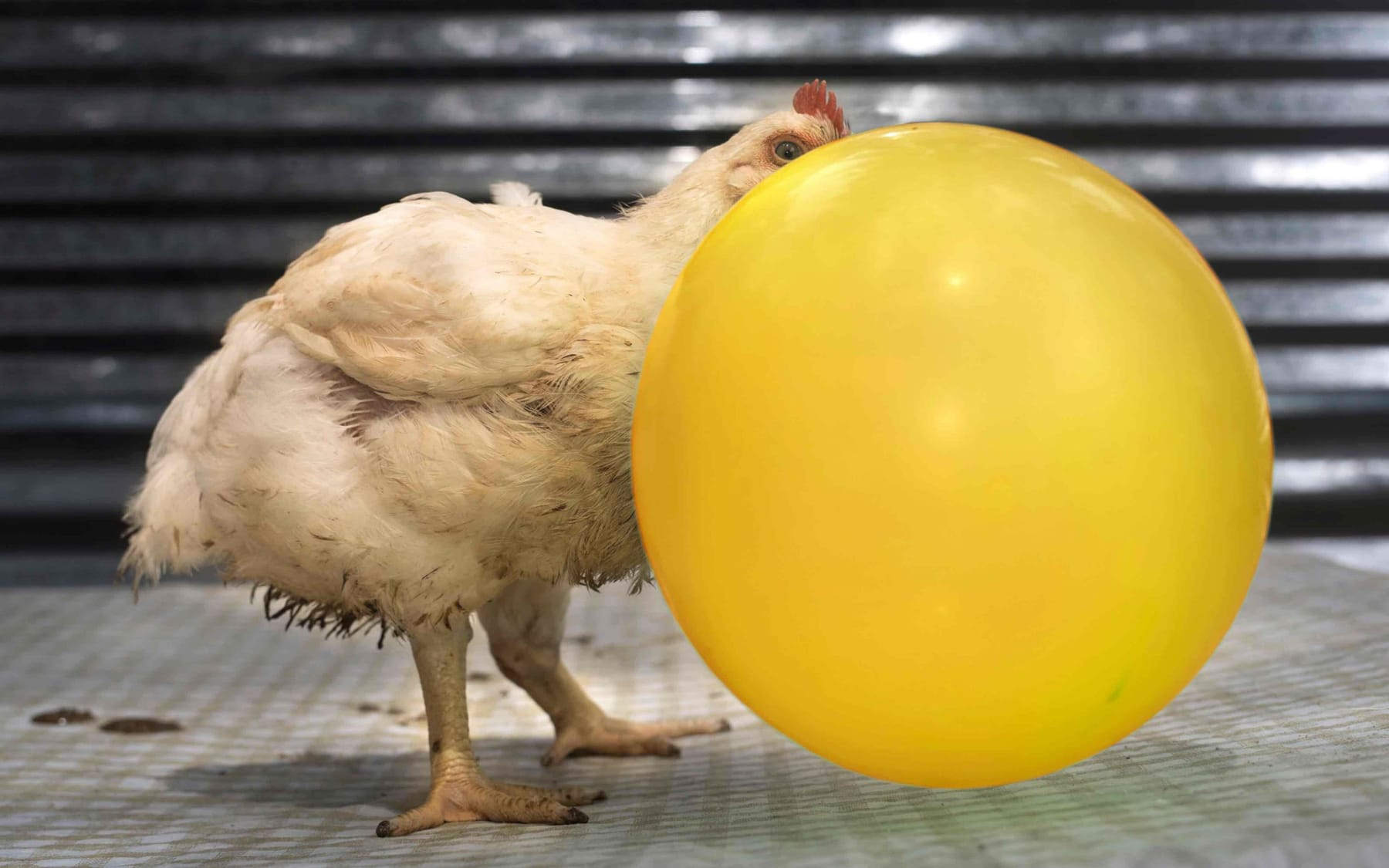24 03 20 tzara230621 ET Magnum Bilder 23 24 02 Kopie 2