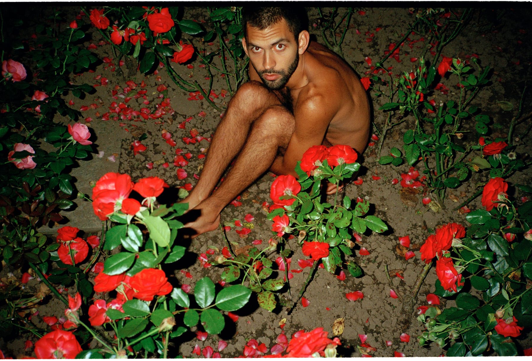 Mario Petrucci Espinoza 1rose